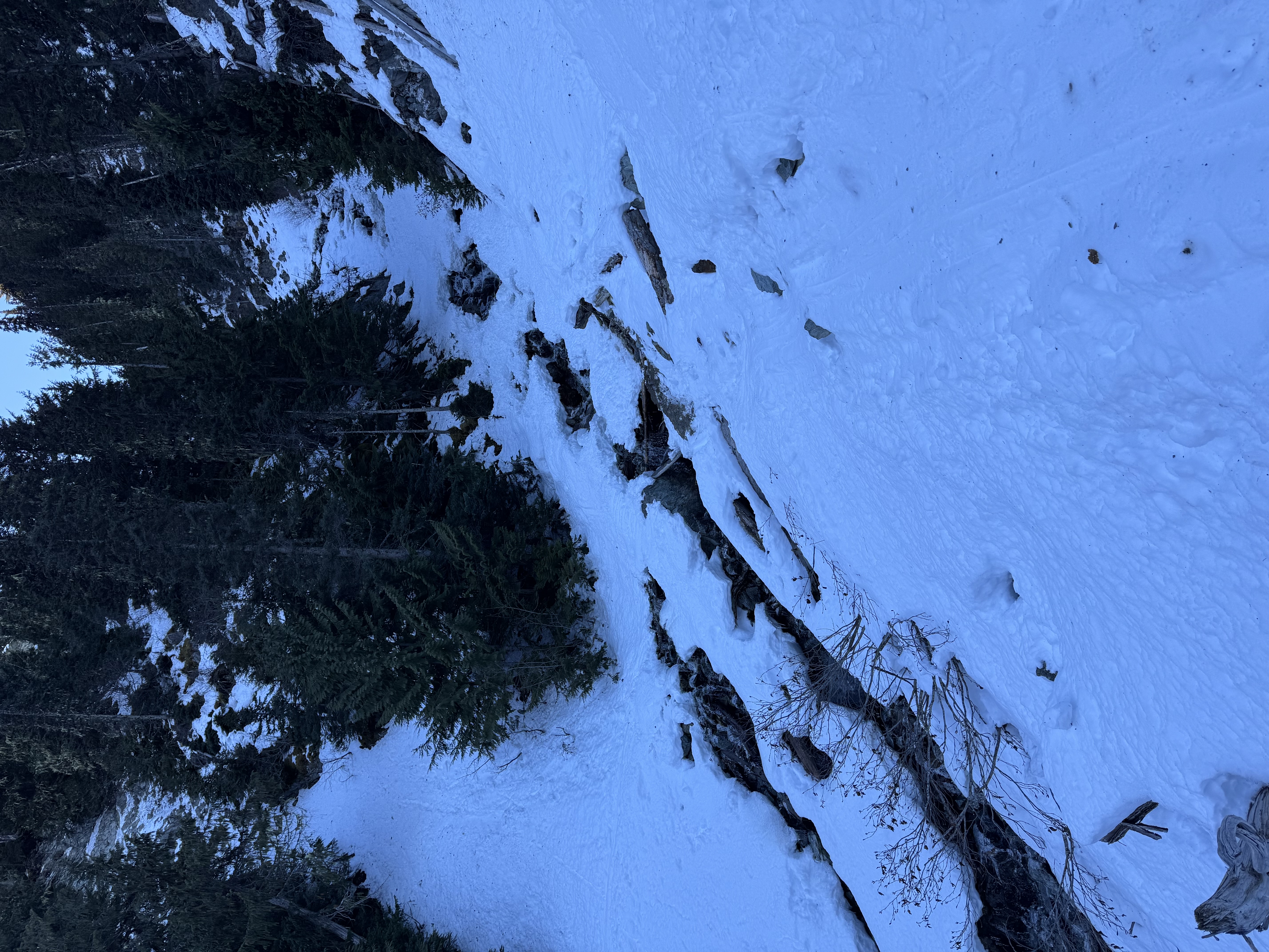 Observation photo