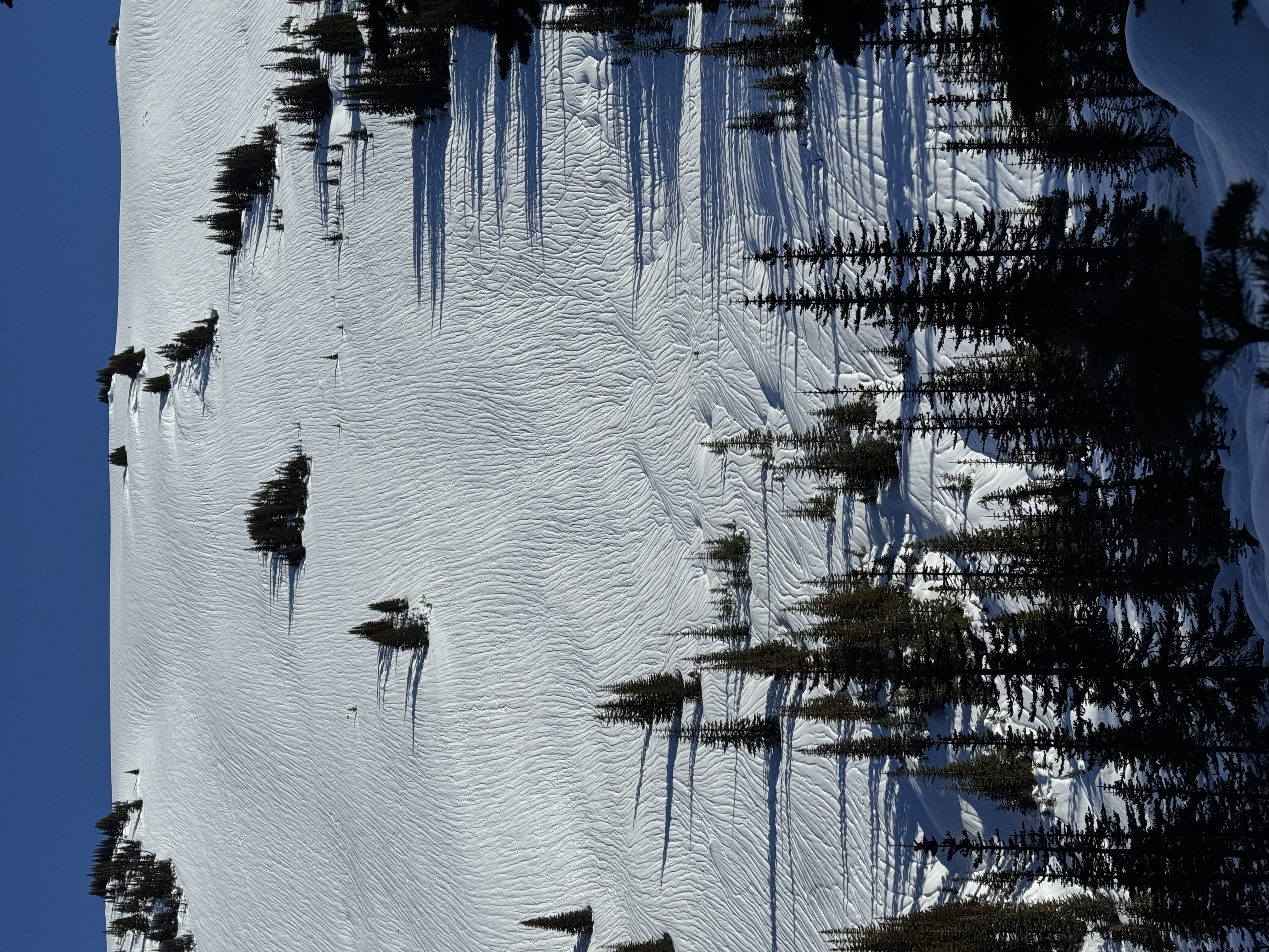 Observation photo