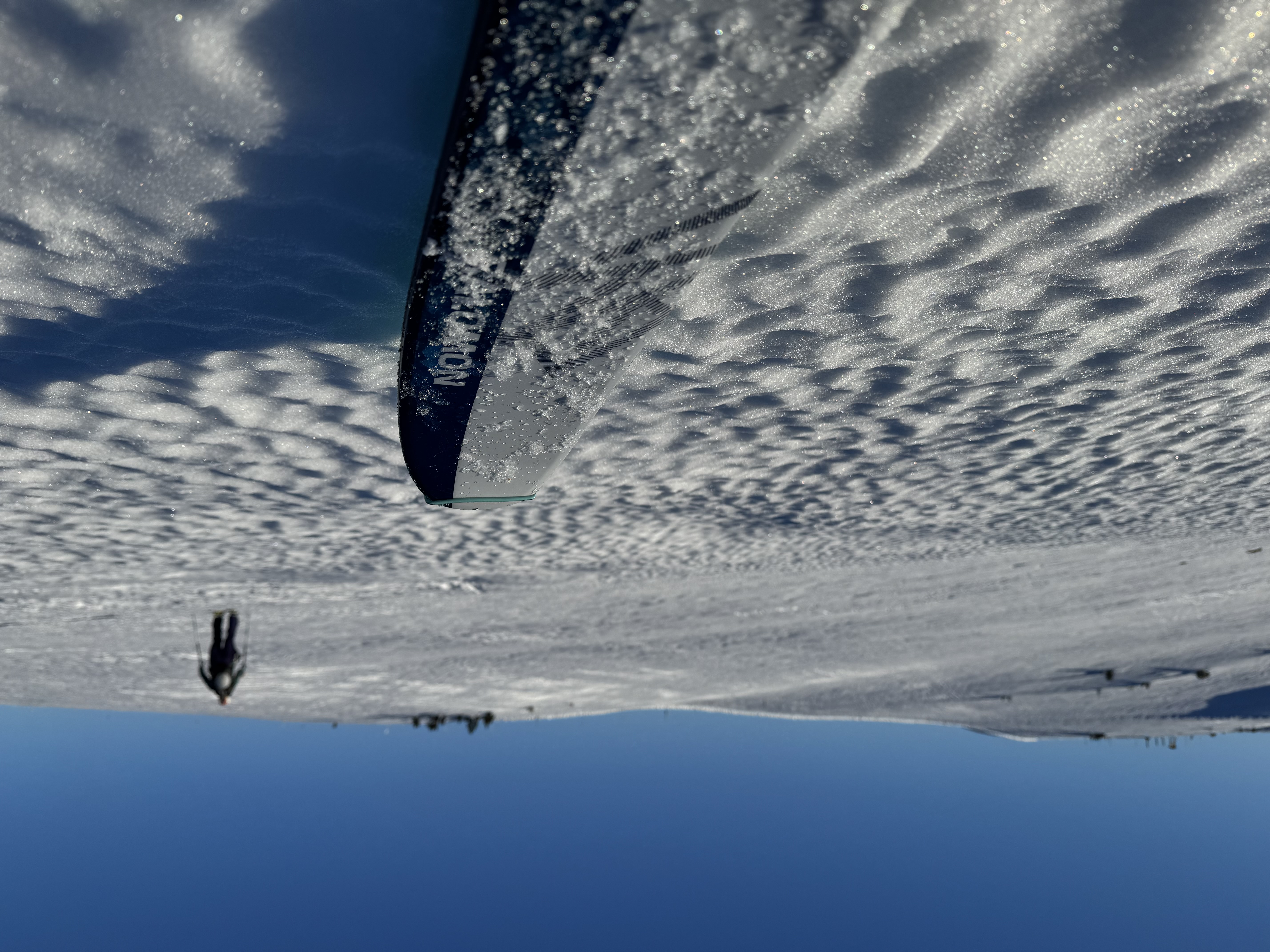 Observation photo