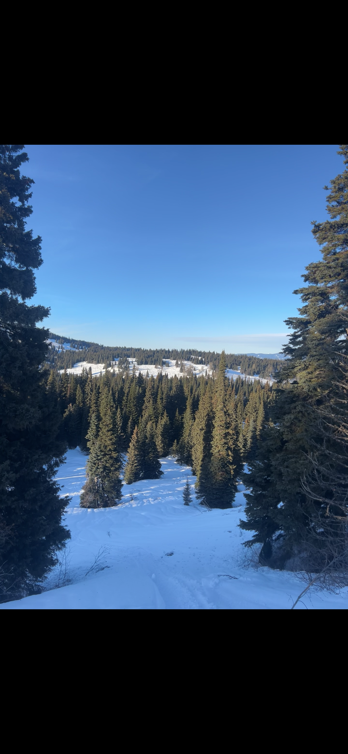 Observation photo