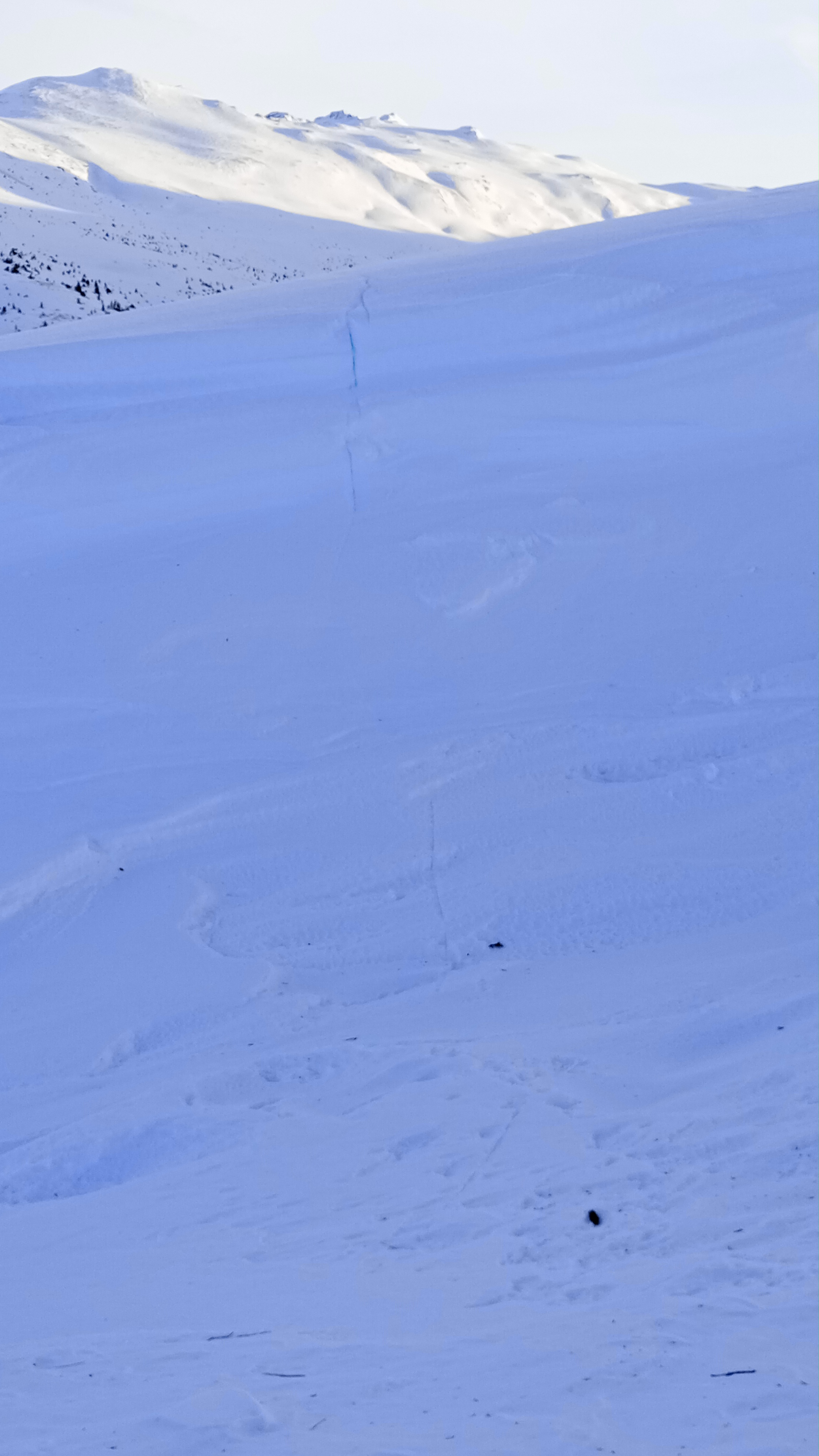 Observation photo