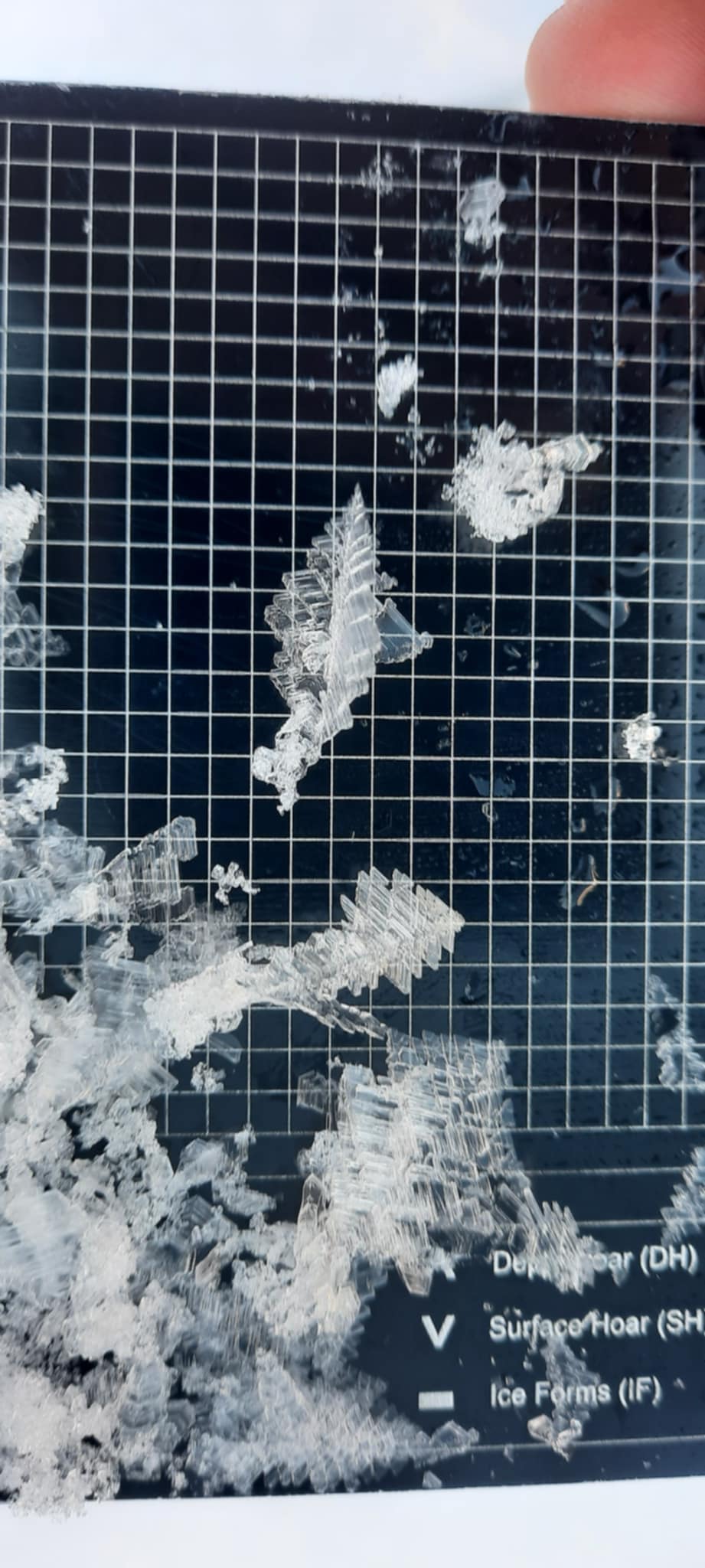 Observation photo