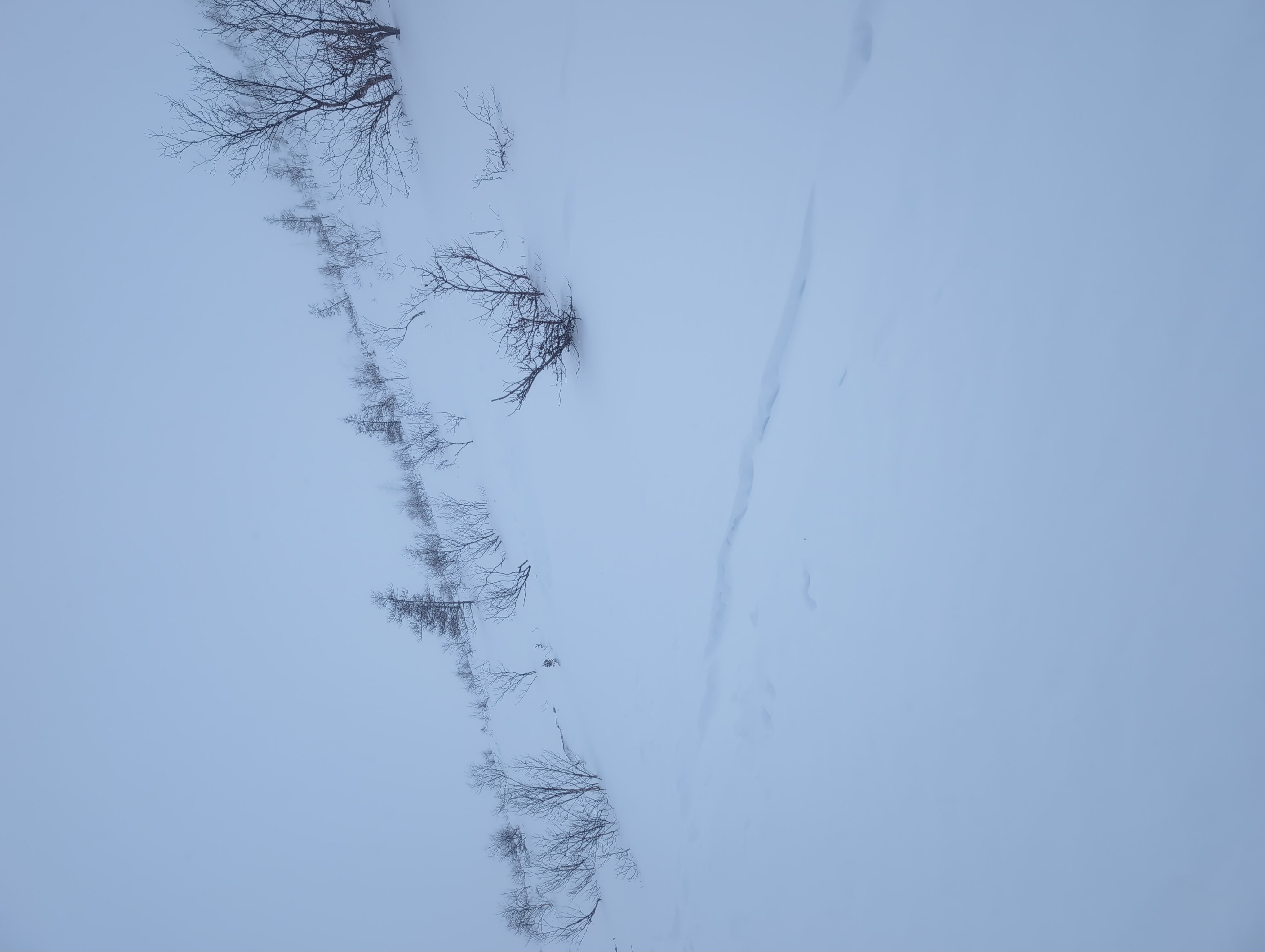 Observation photo