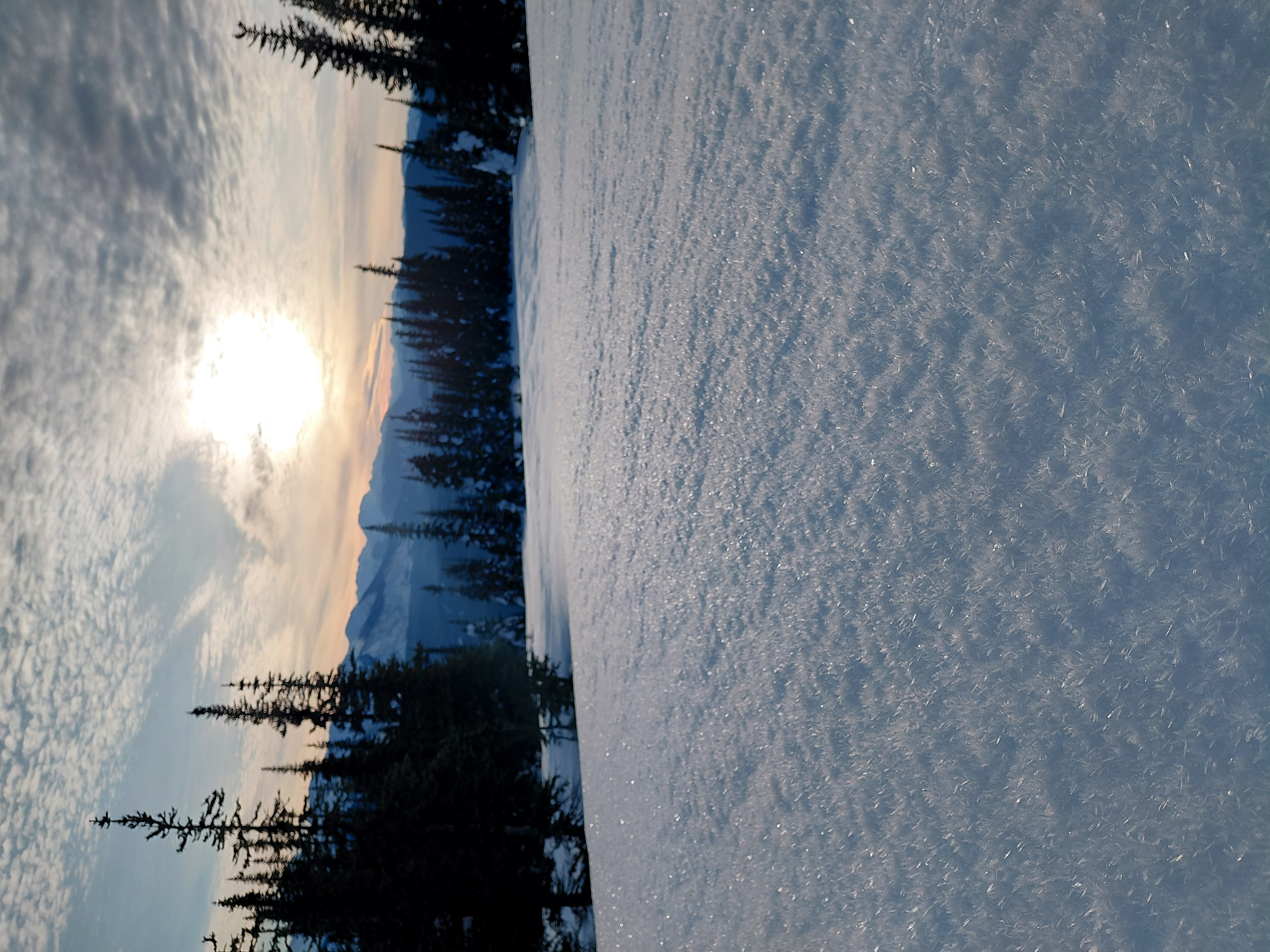 Observation photo