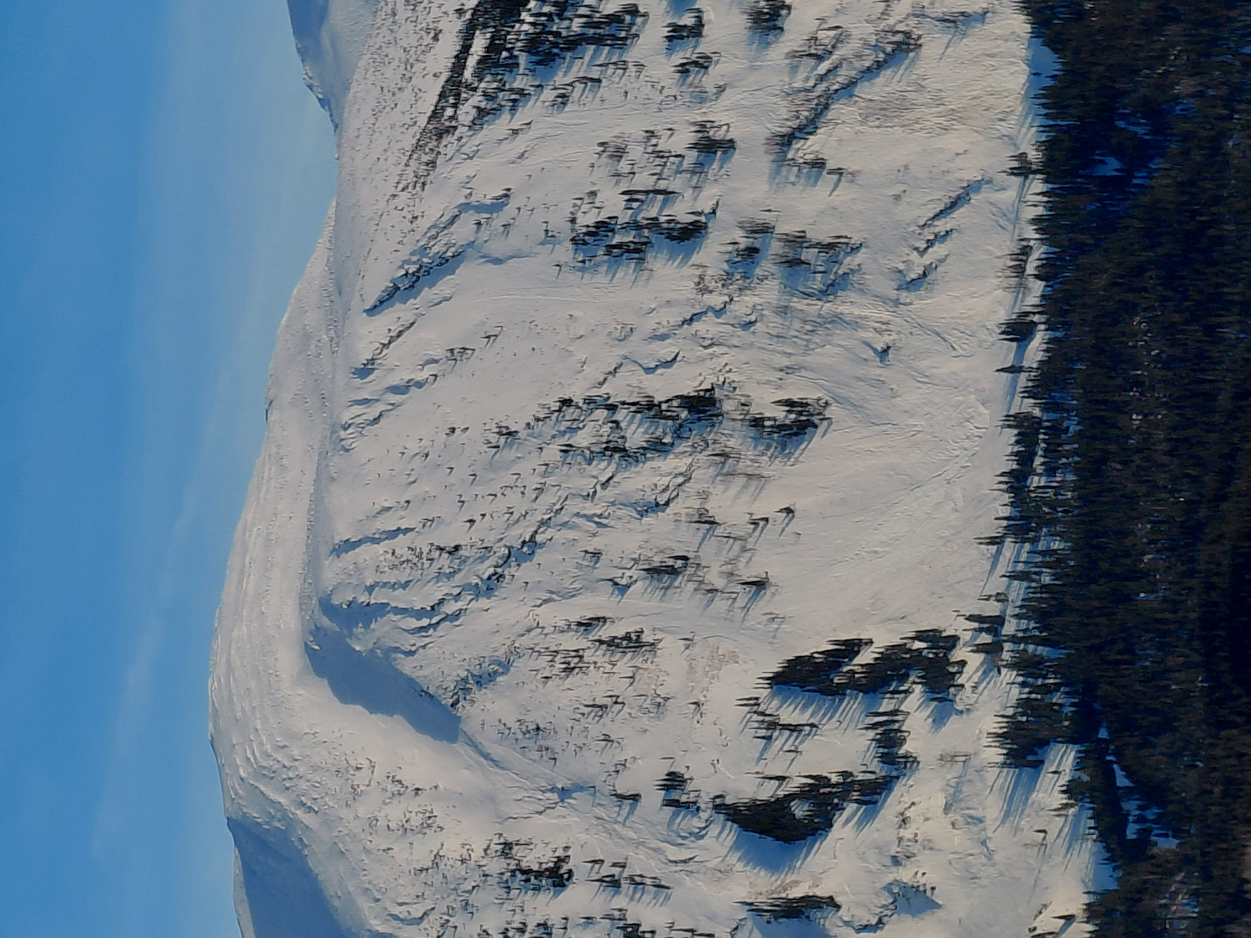Observation photo