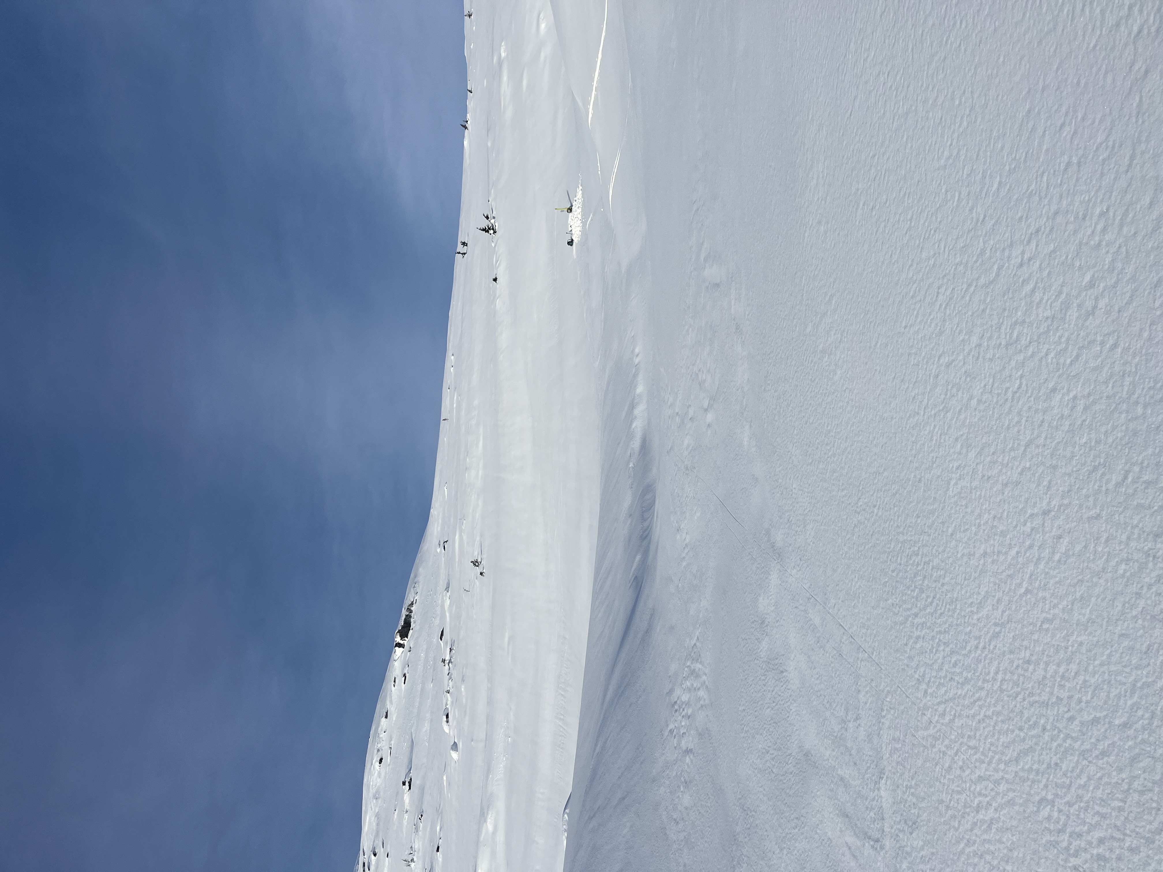 Observation photo