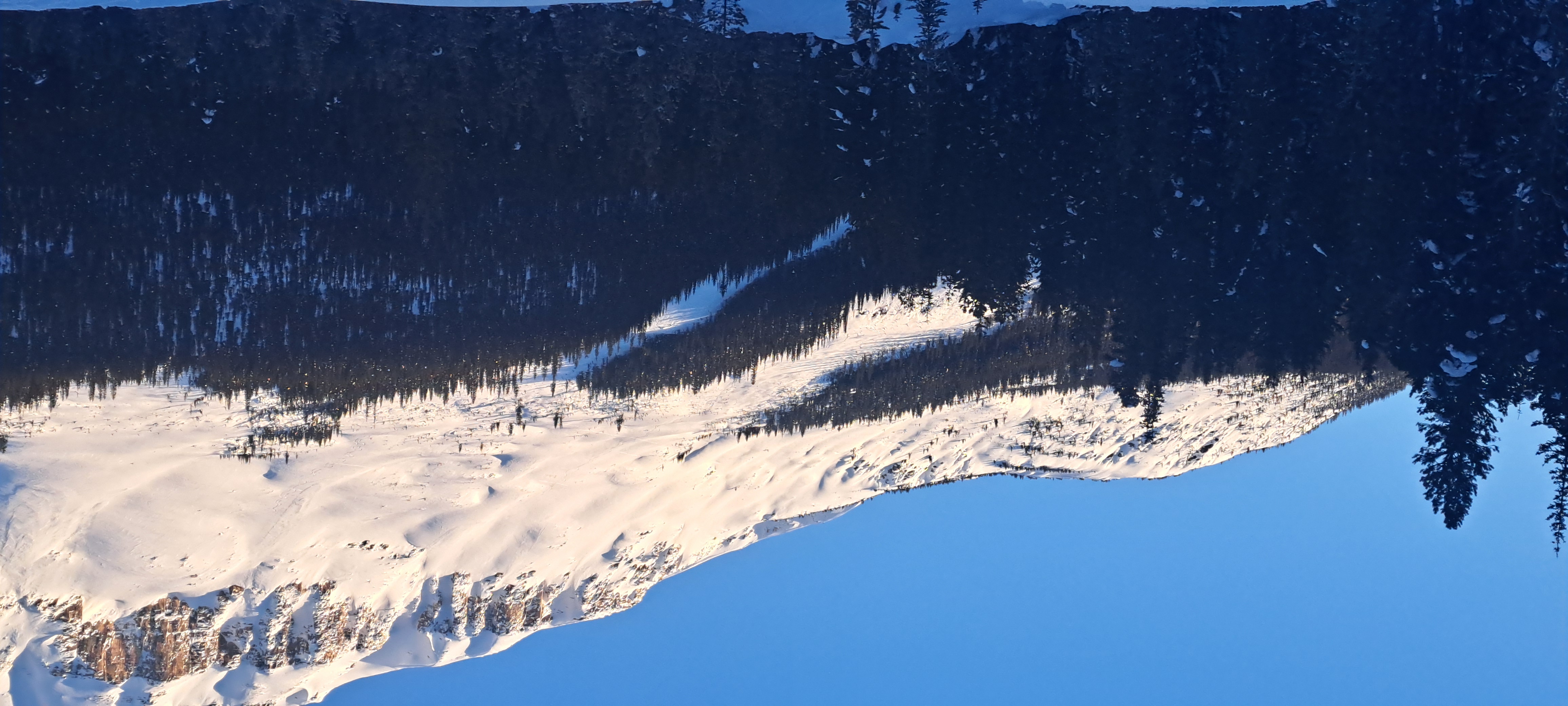 Observation photo