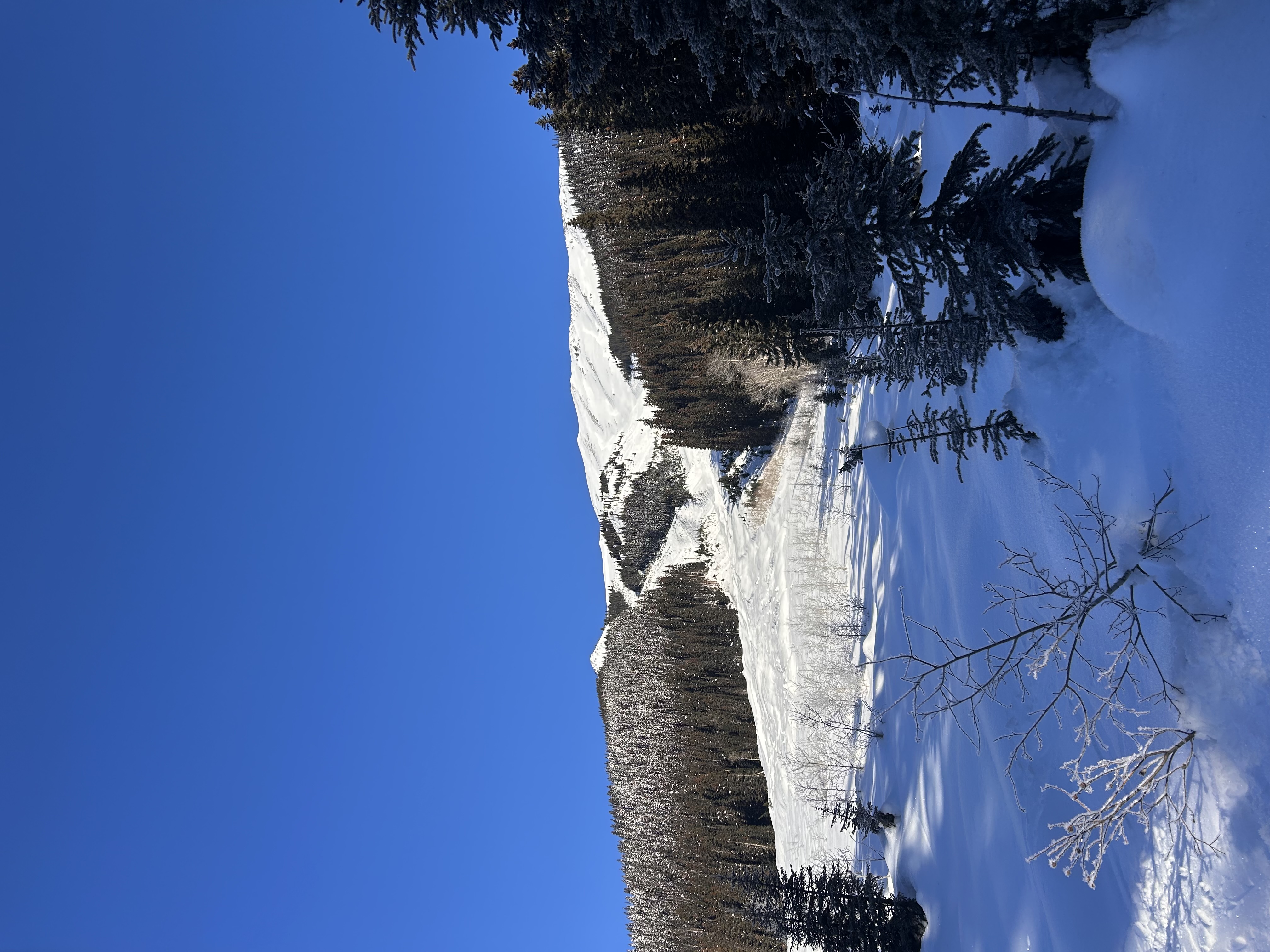 Observation photo