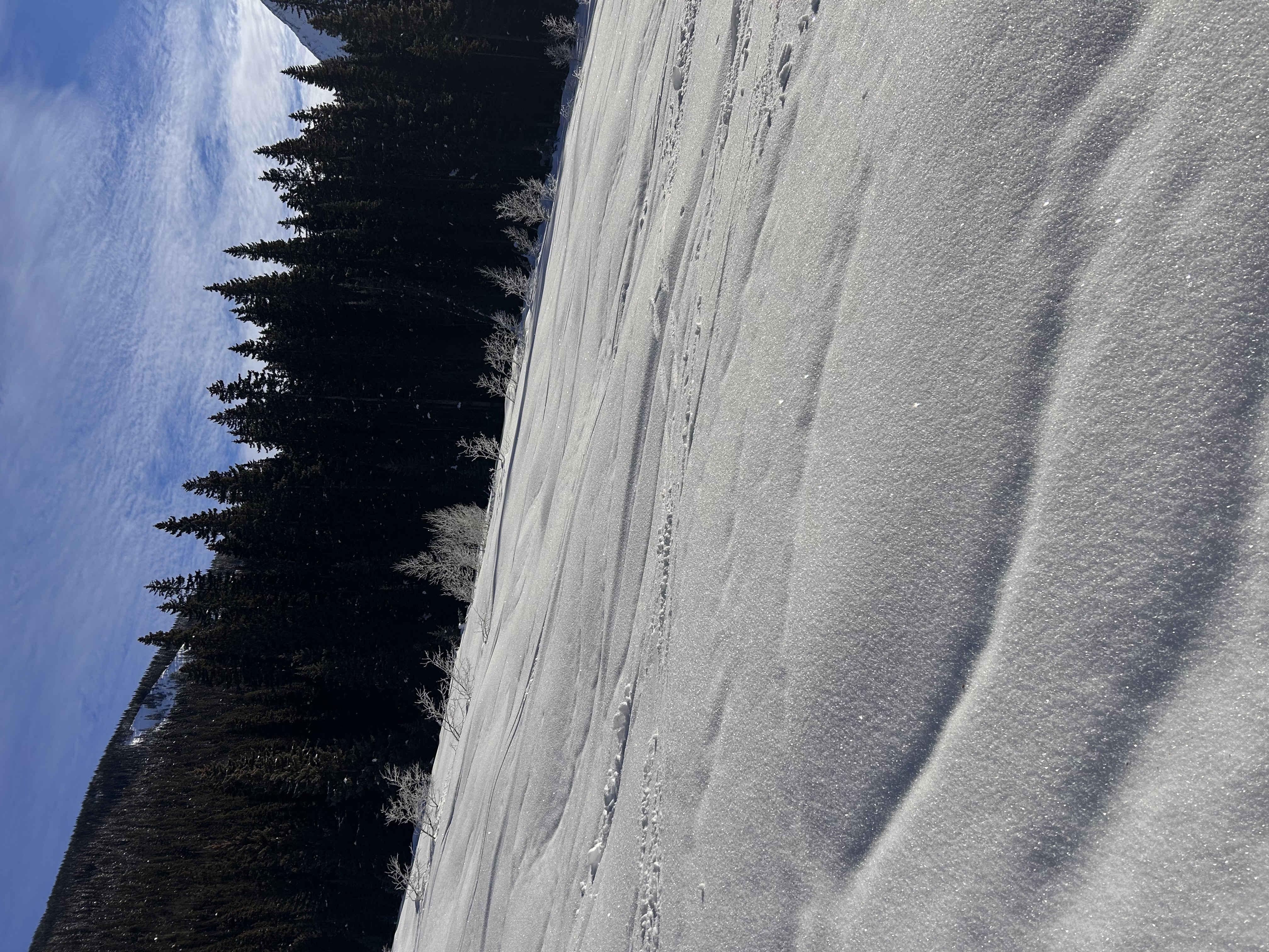 Observation photo