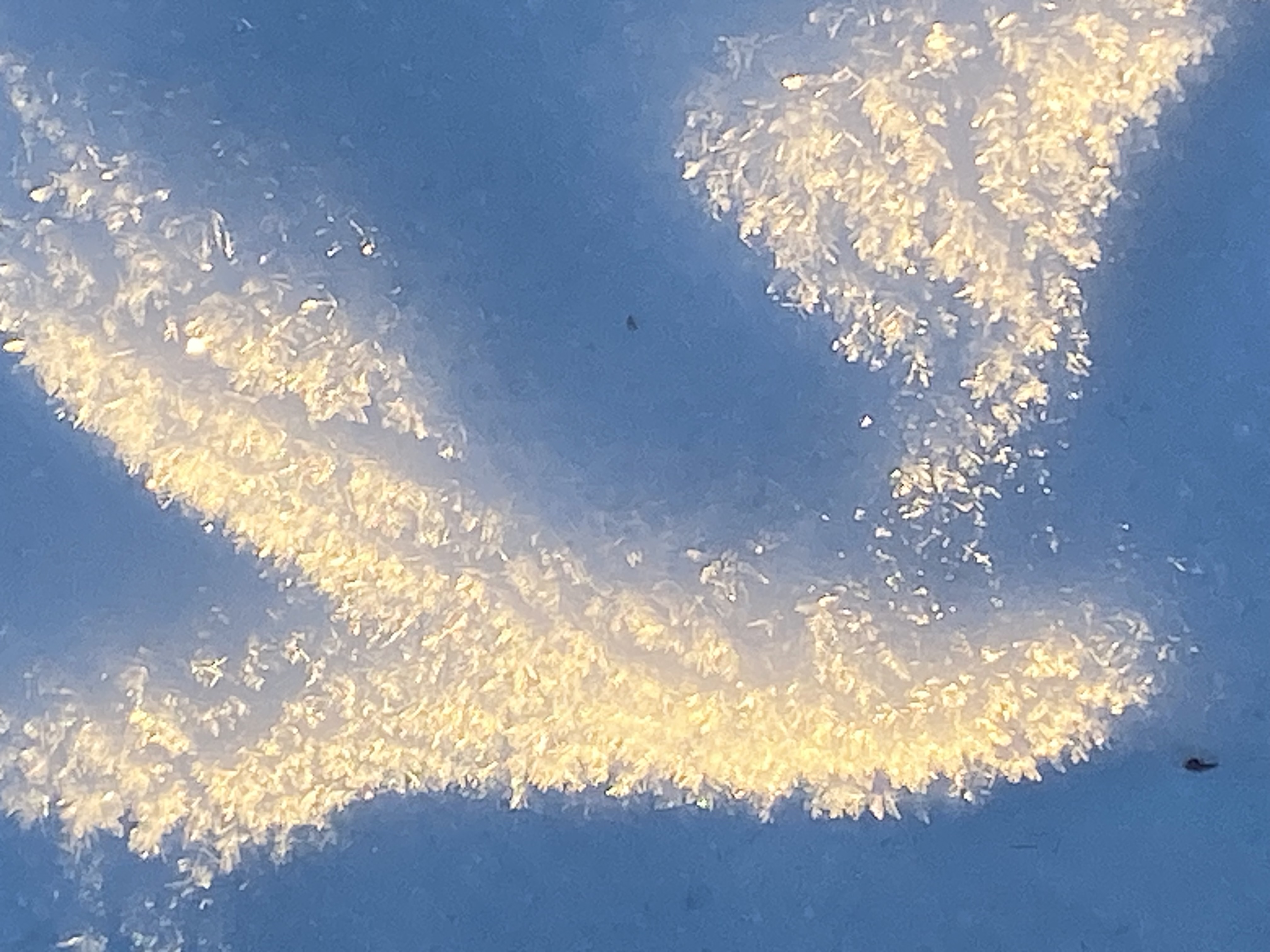 Observation photo