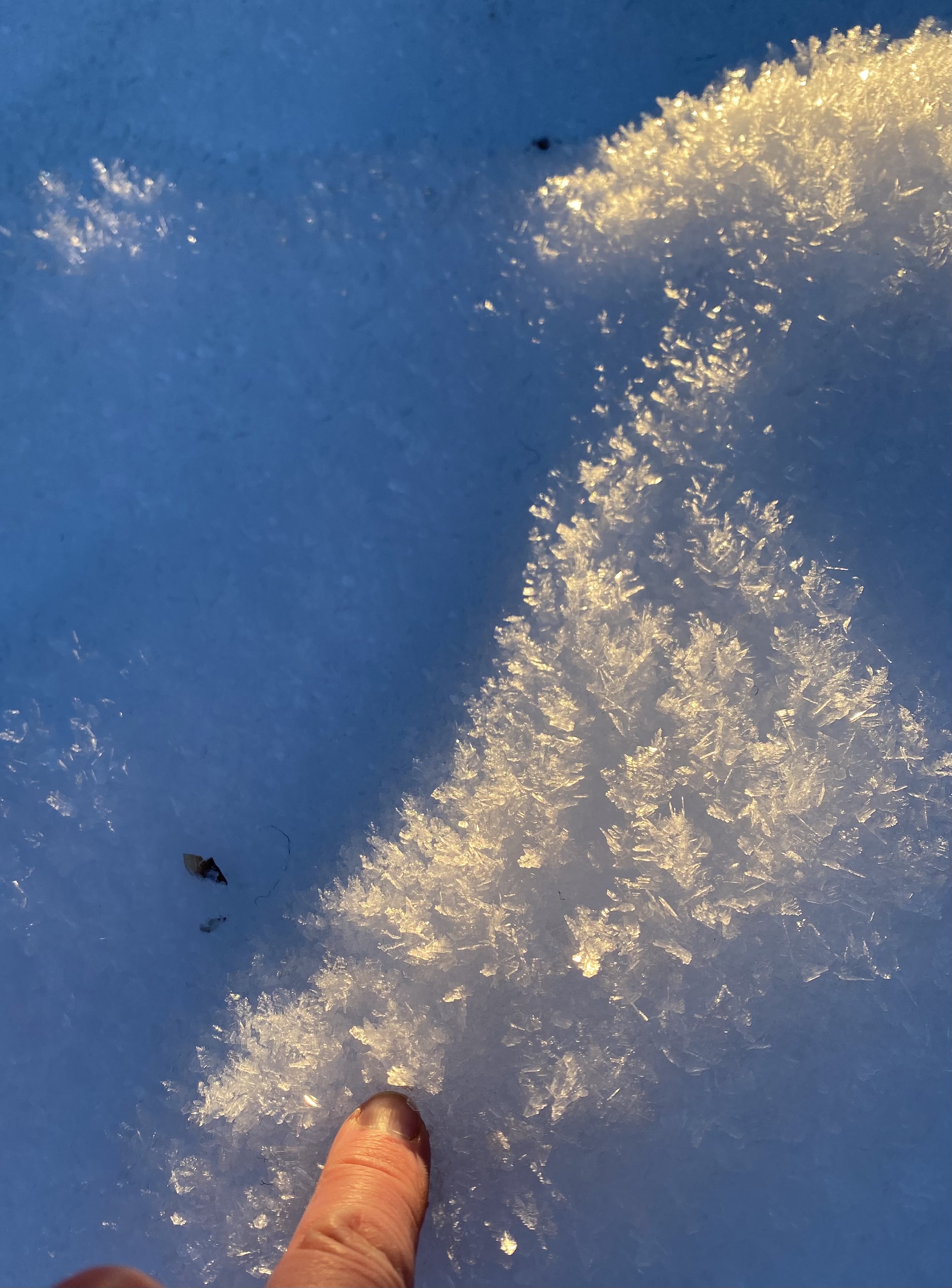 Observation photo
