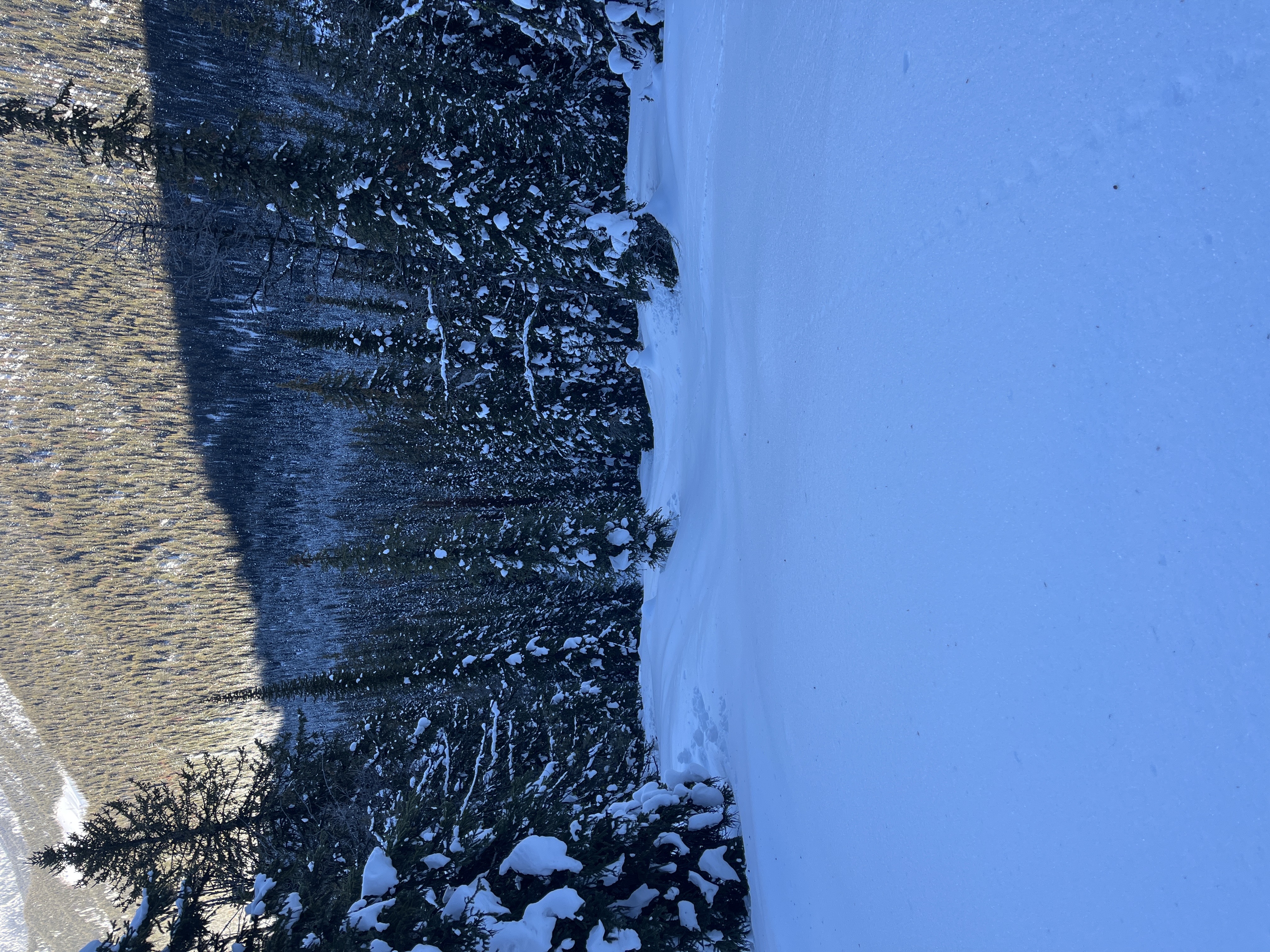 Observation photo