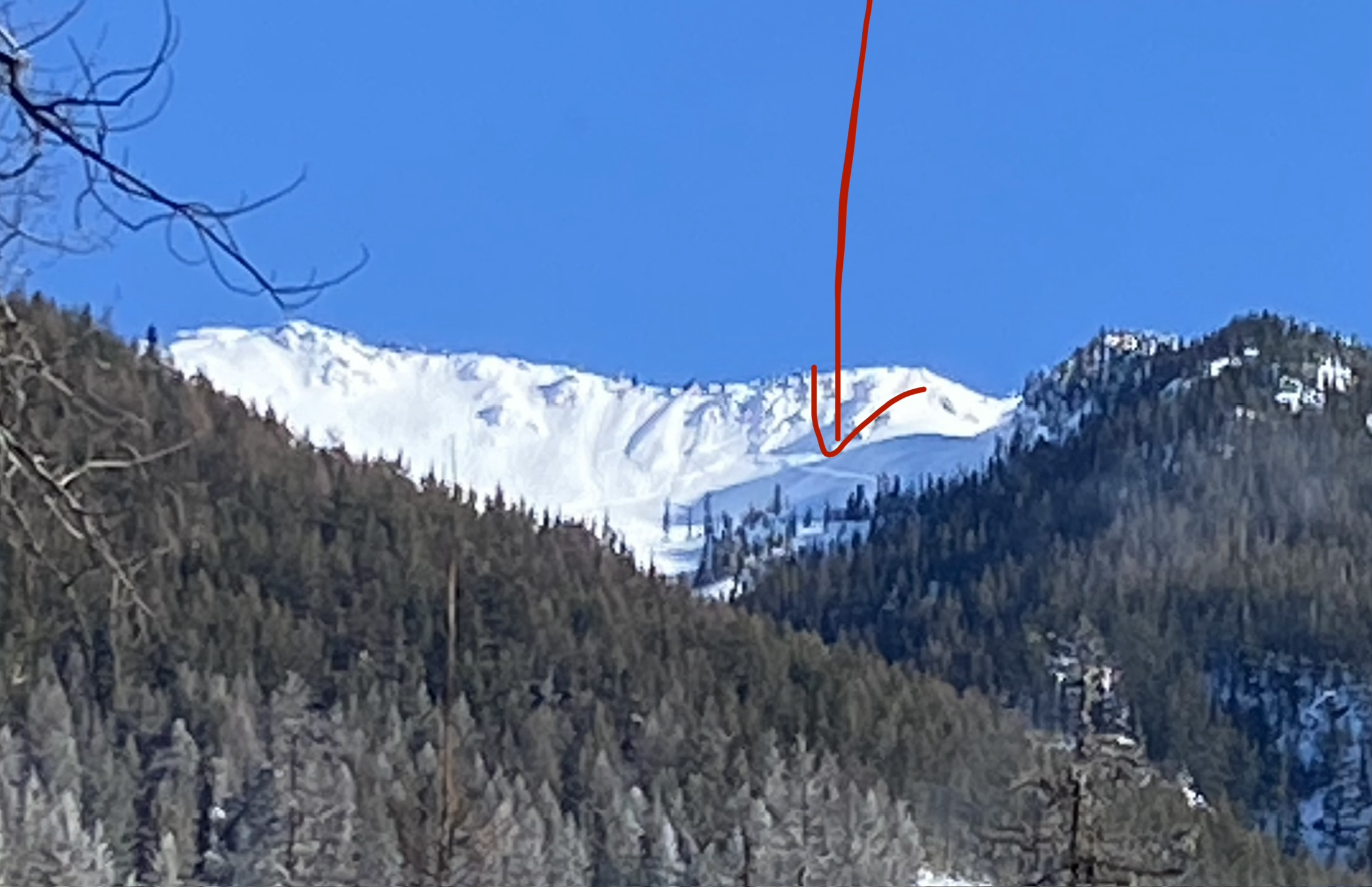 Observation photo