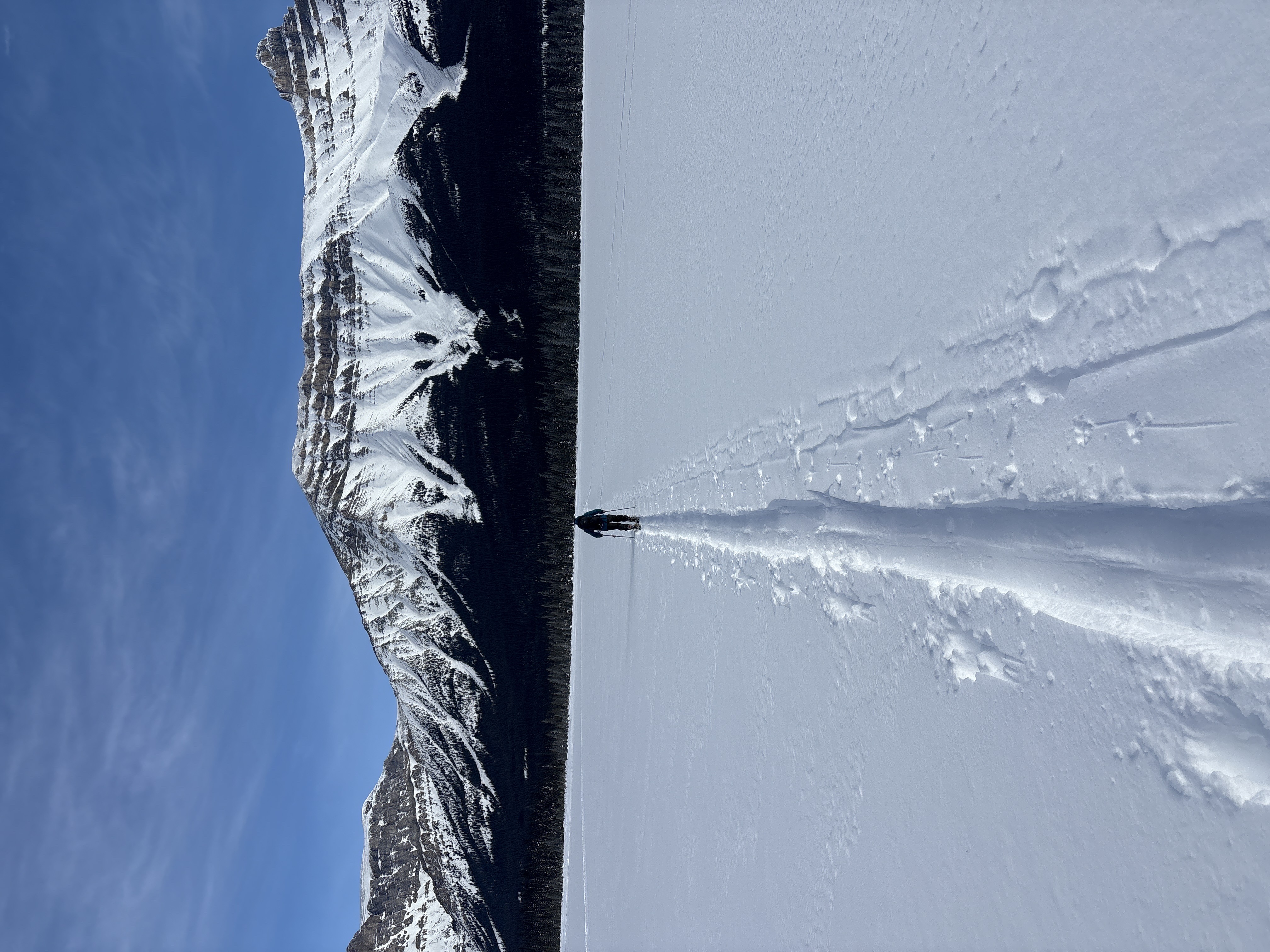 Observation photo
