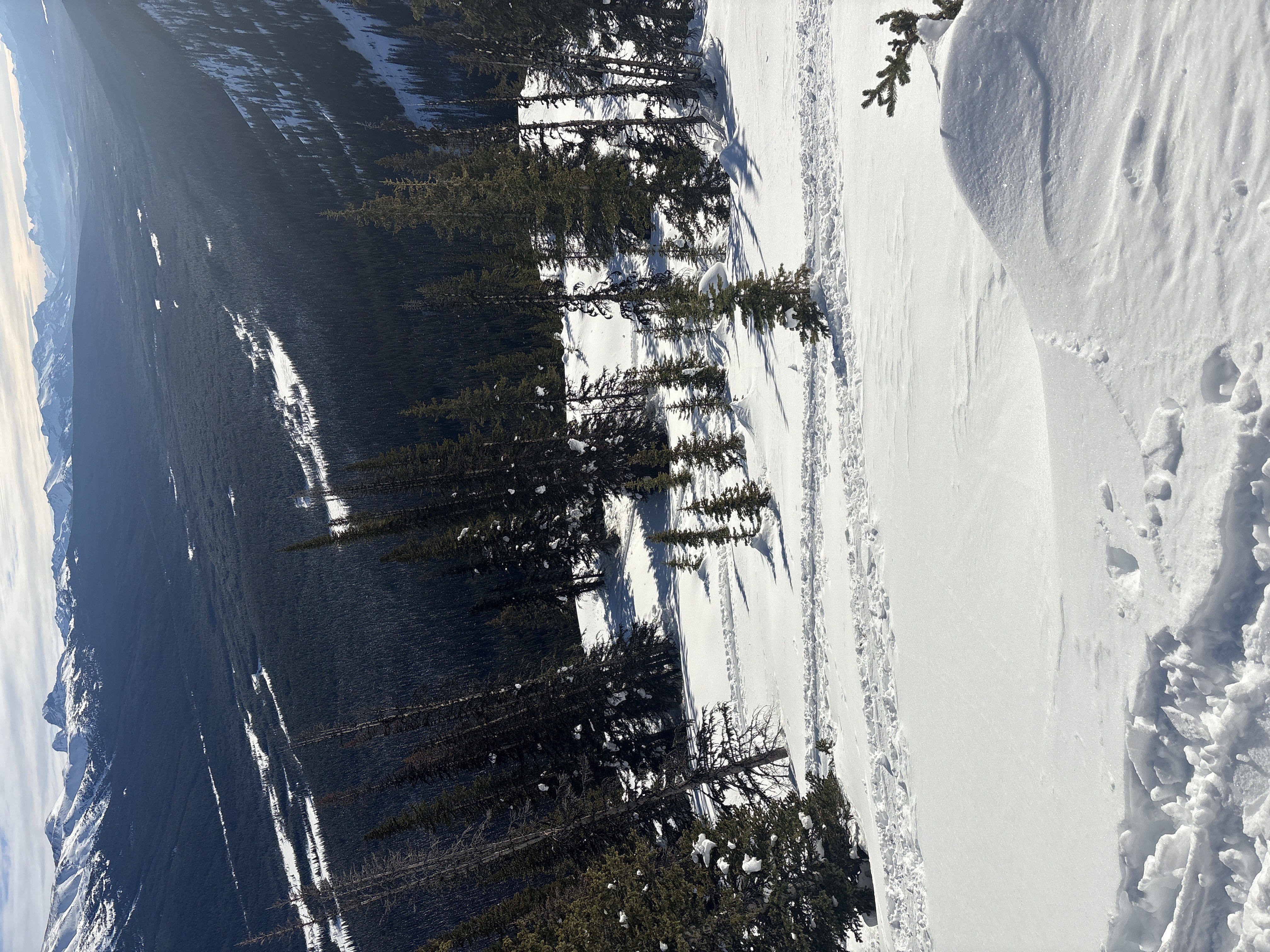 Observation photo