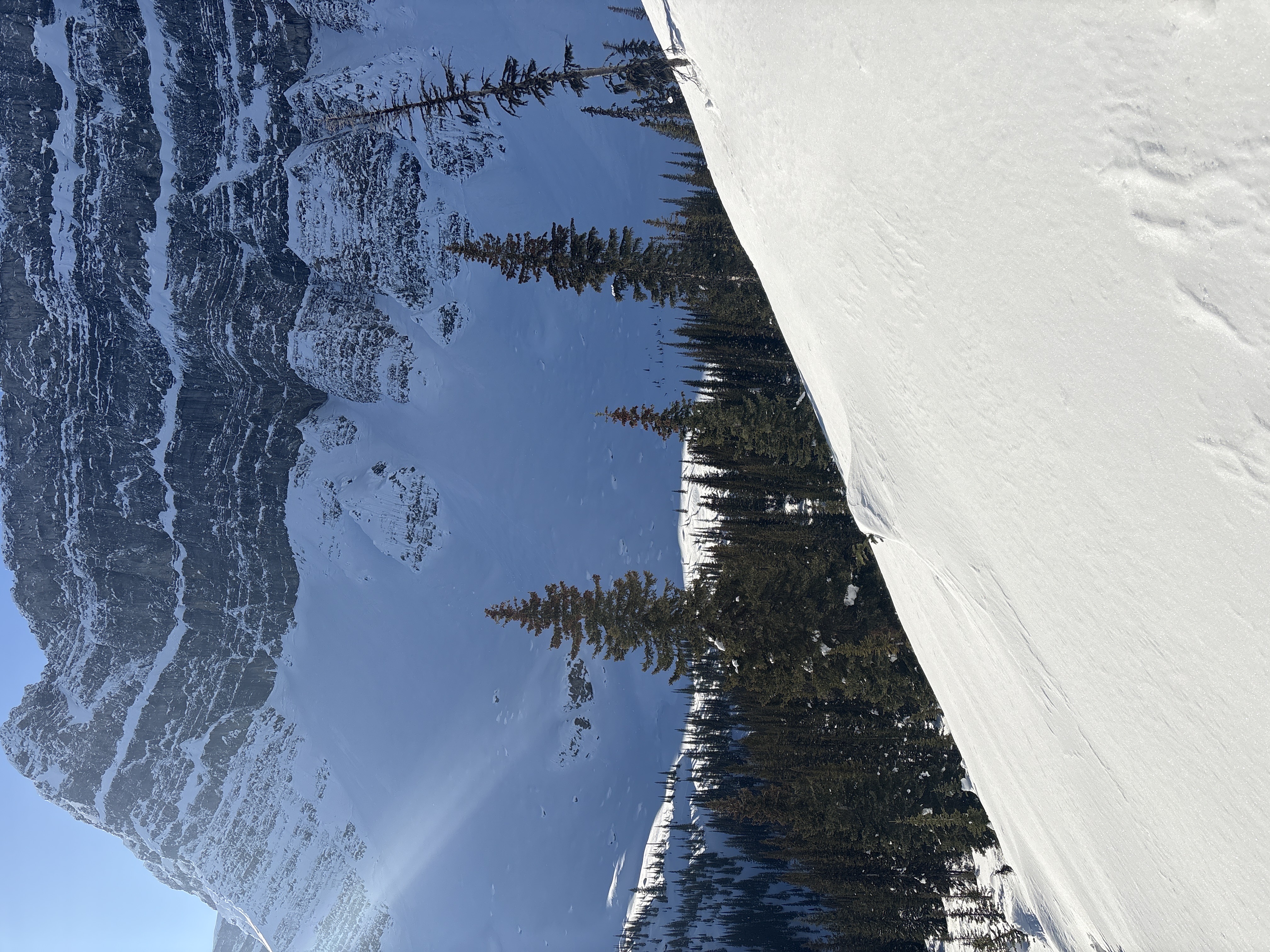 Observation photo