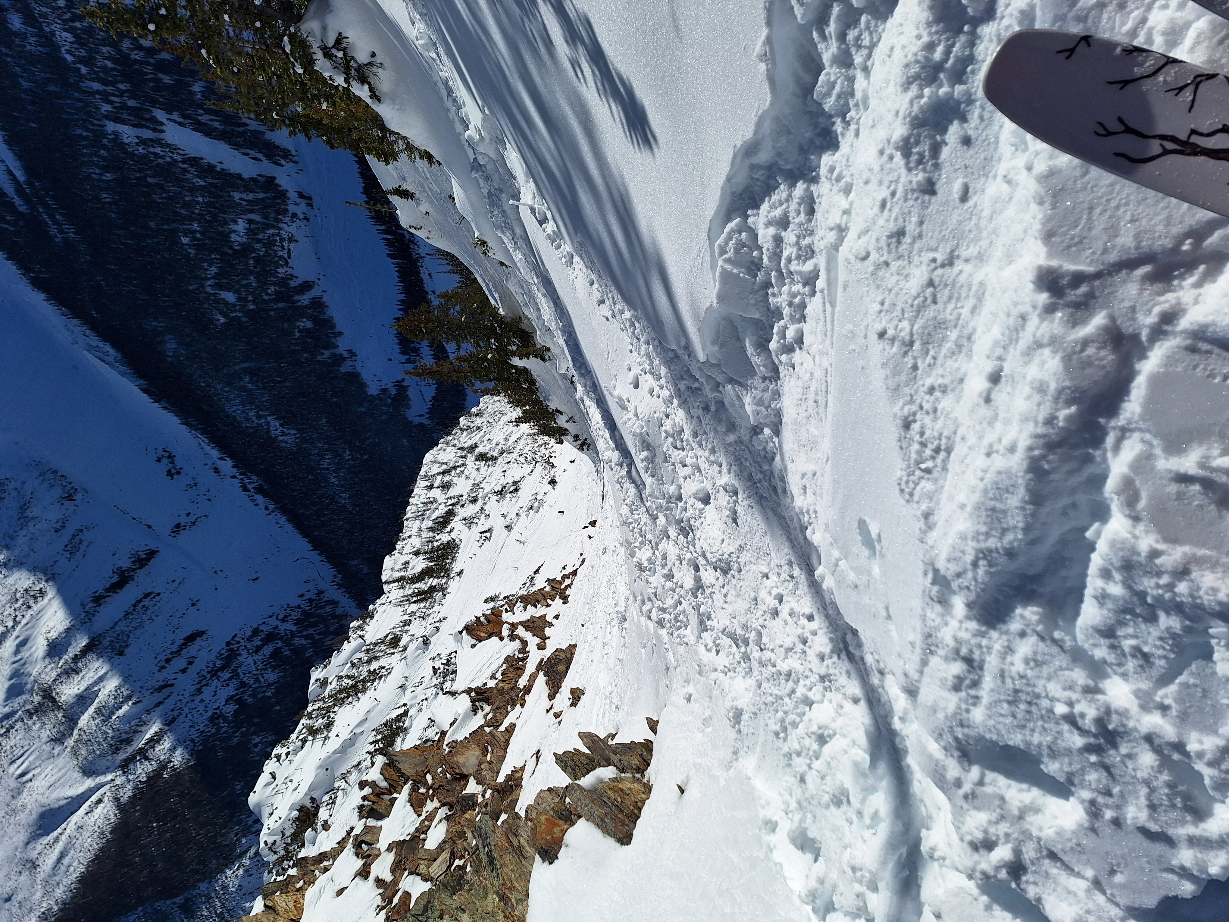 Observation photo