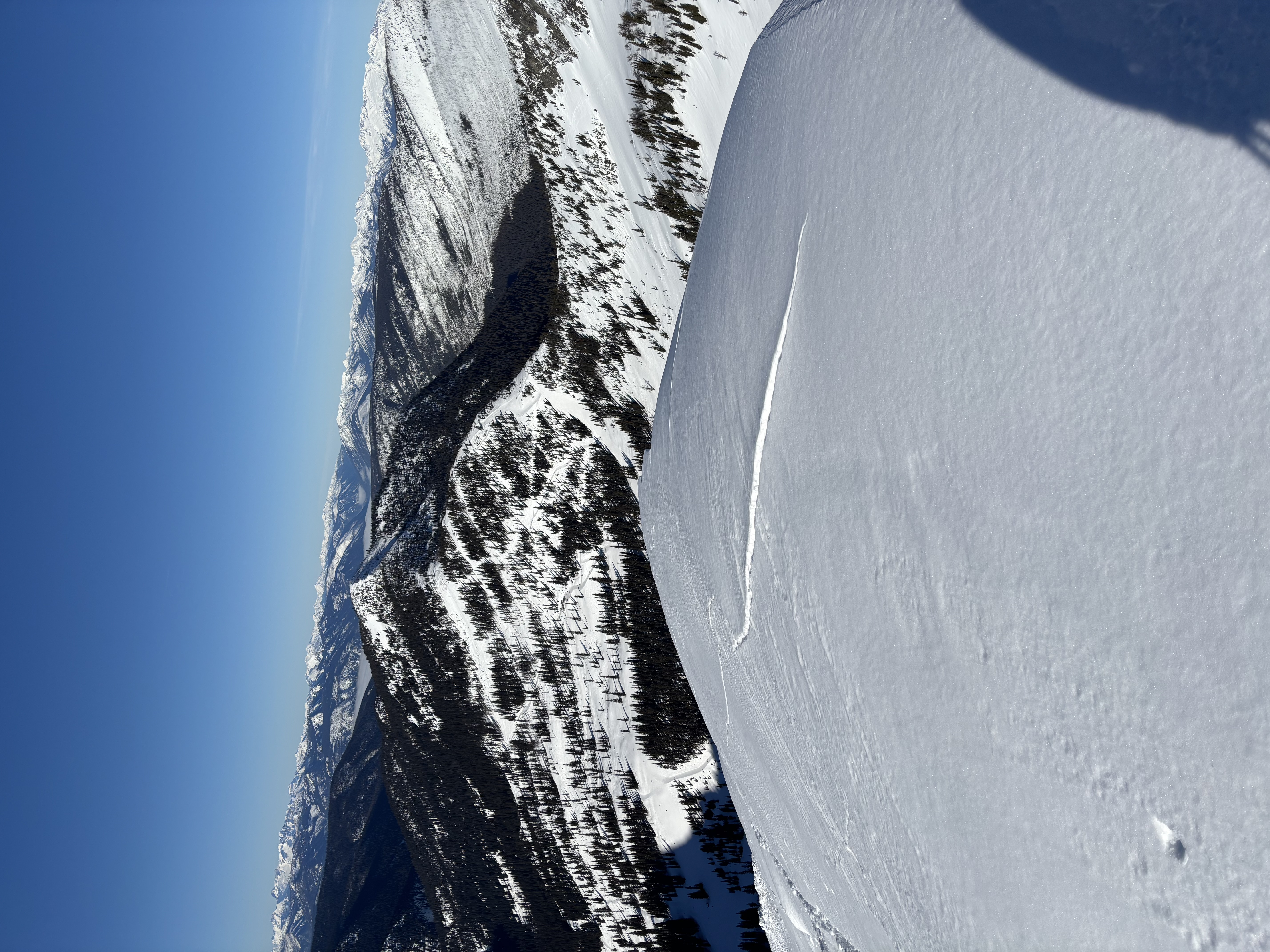Observation photo