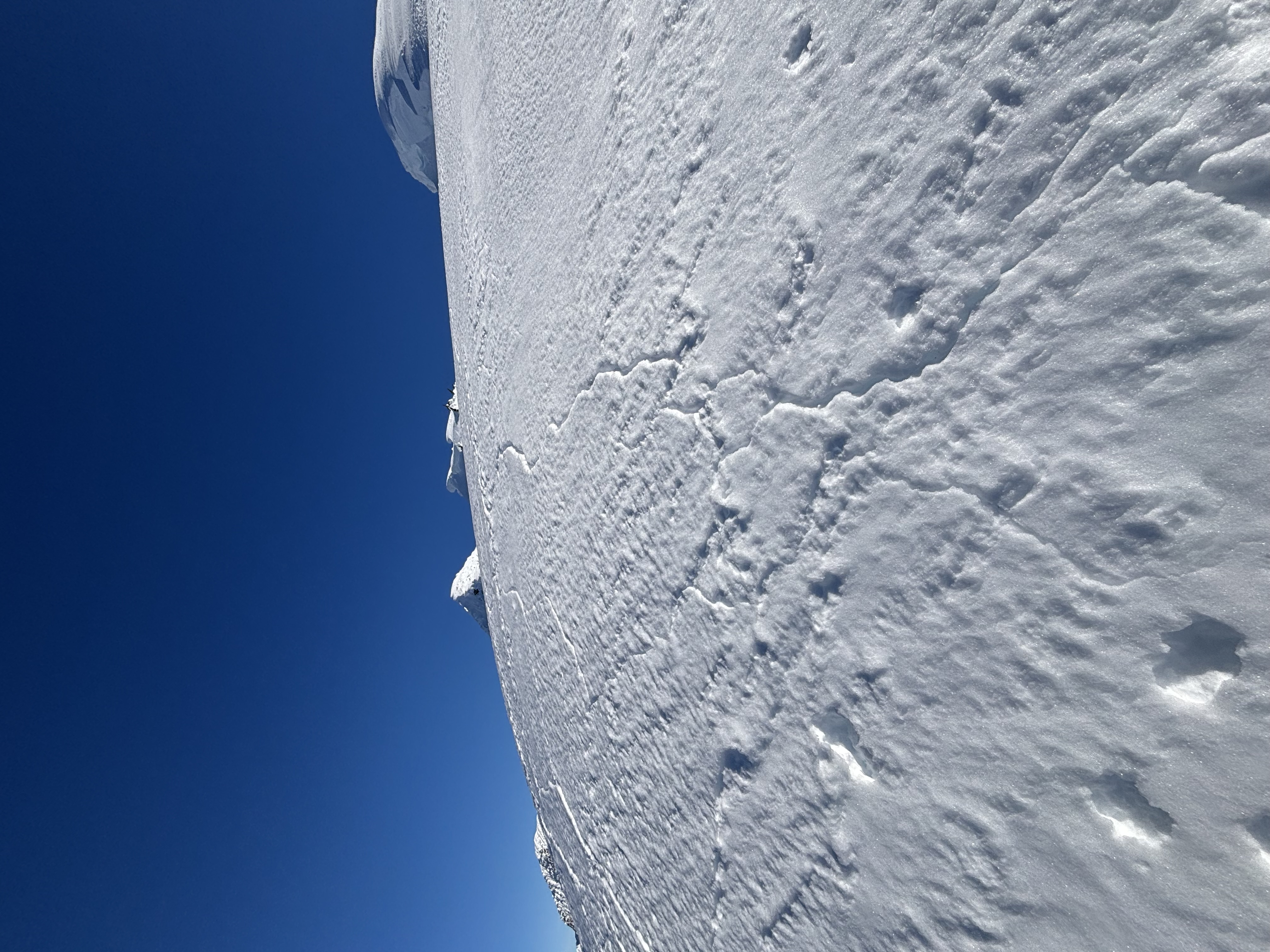 Observation photo
