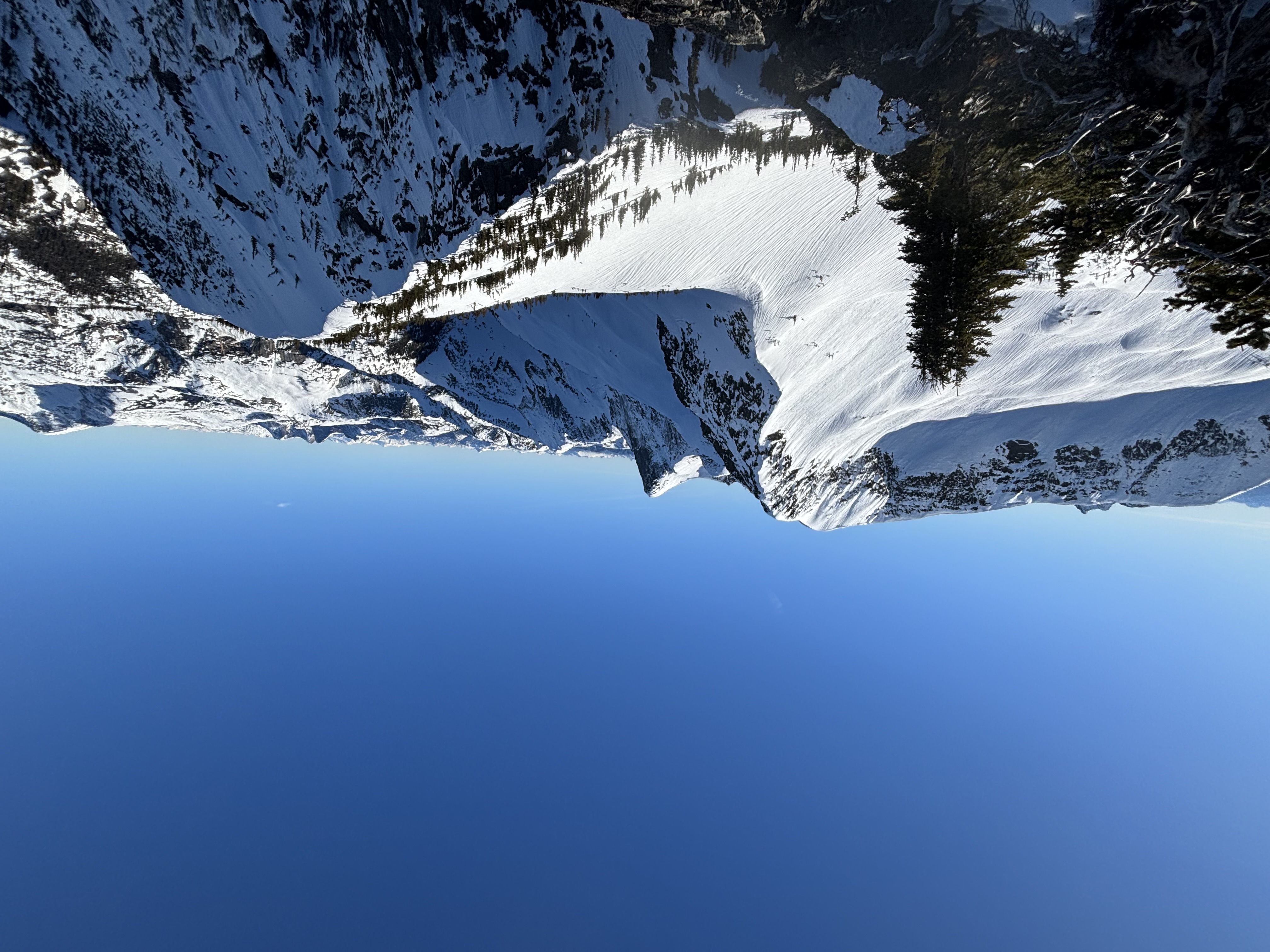 Observation photo
