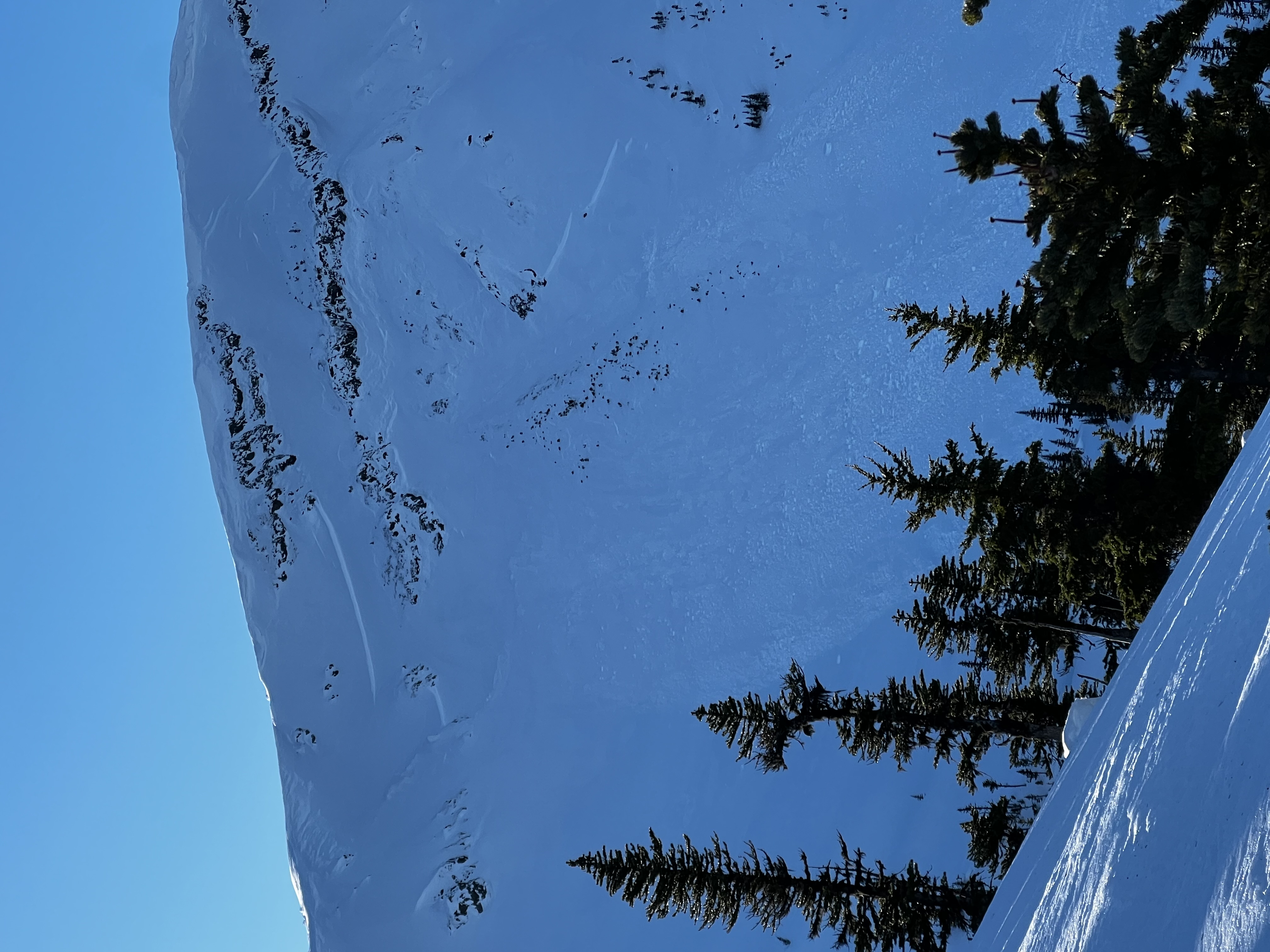 Observation photo