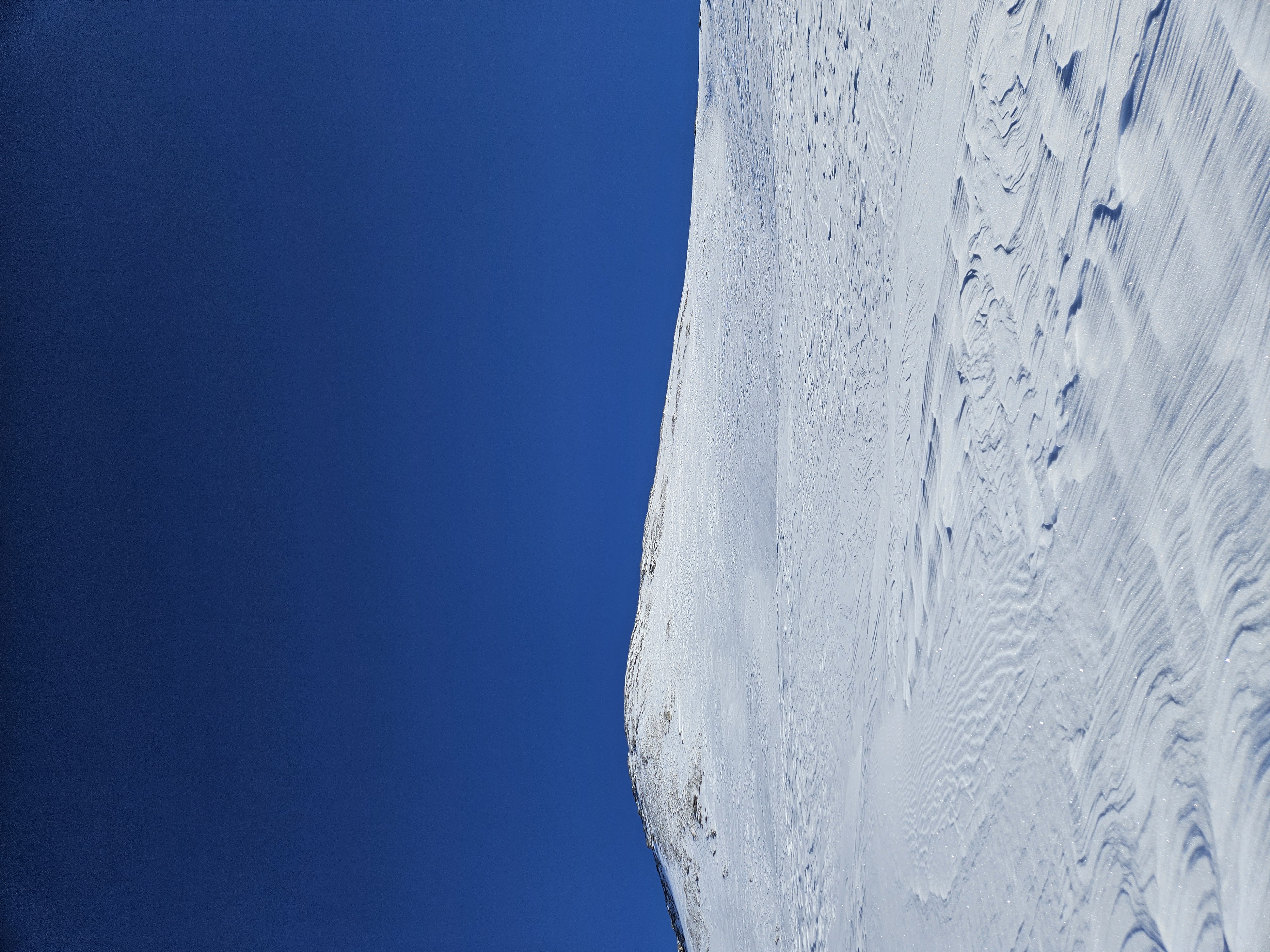 Observation photo