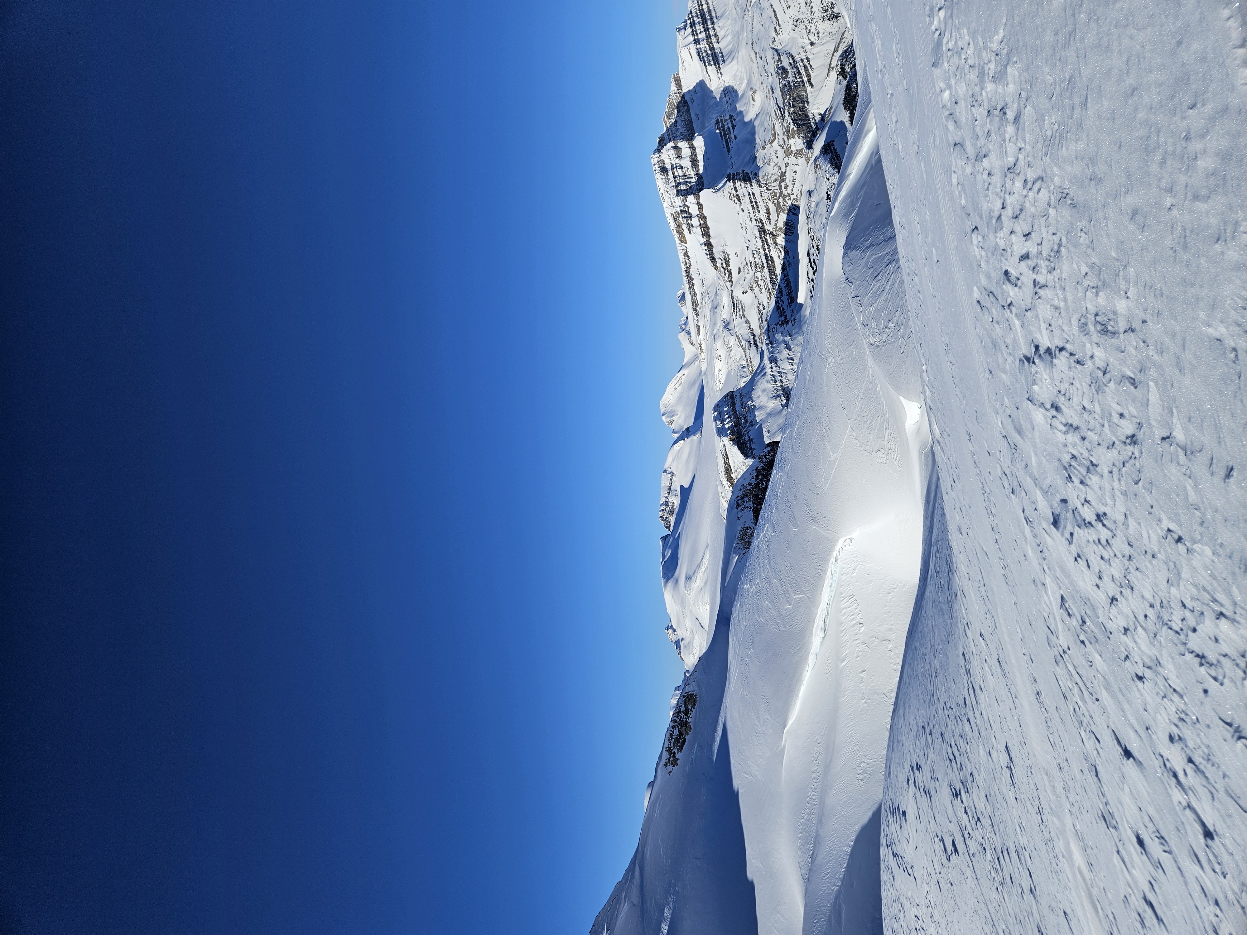 Observation photo