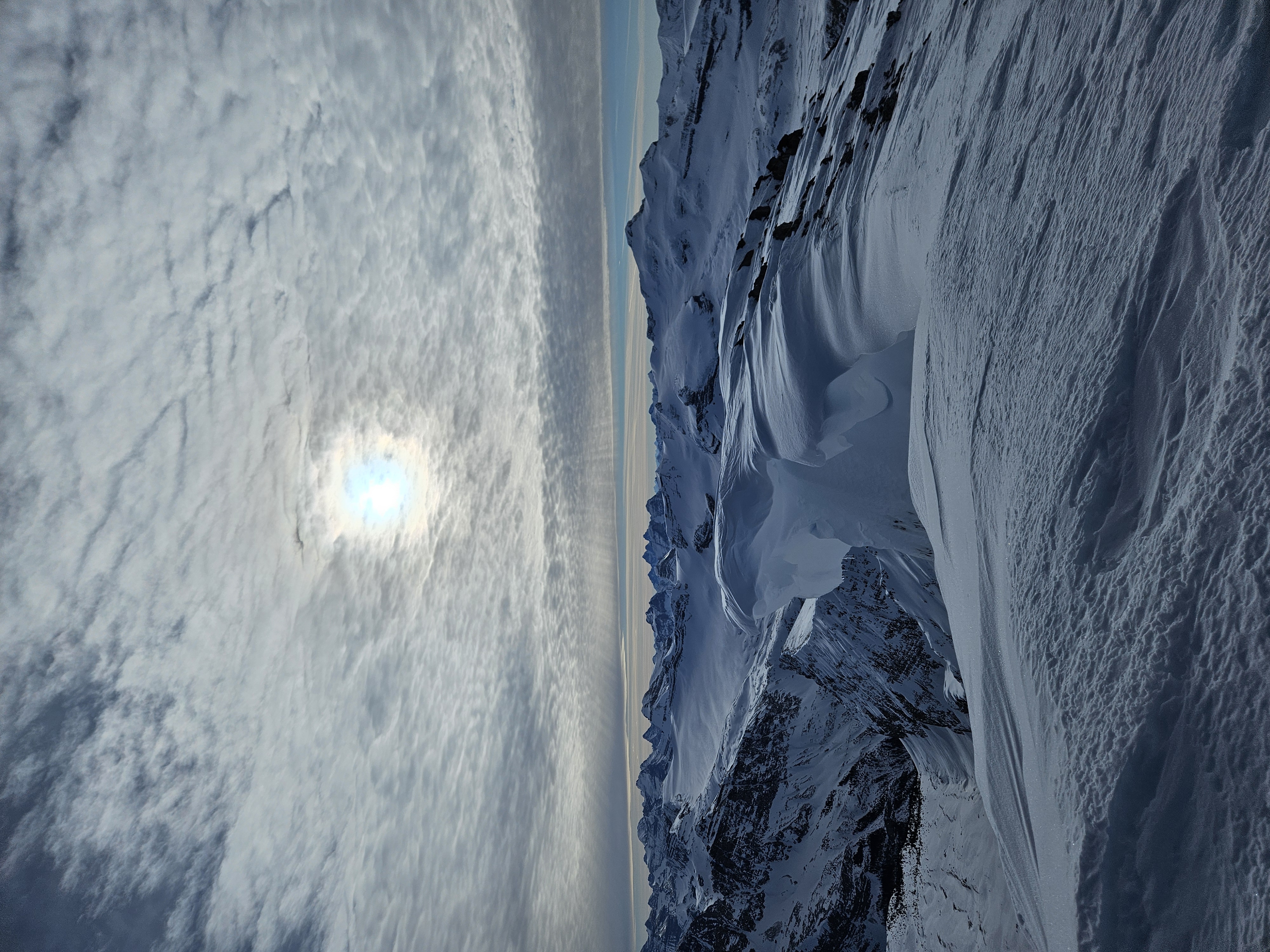 Observation photo