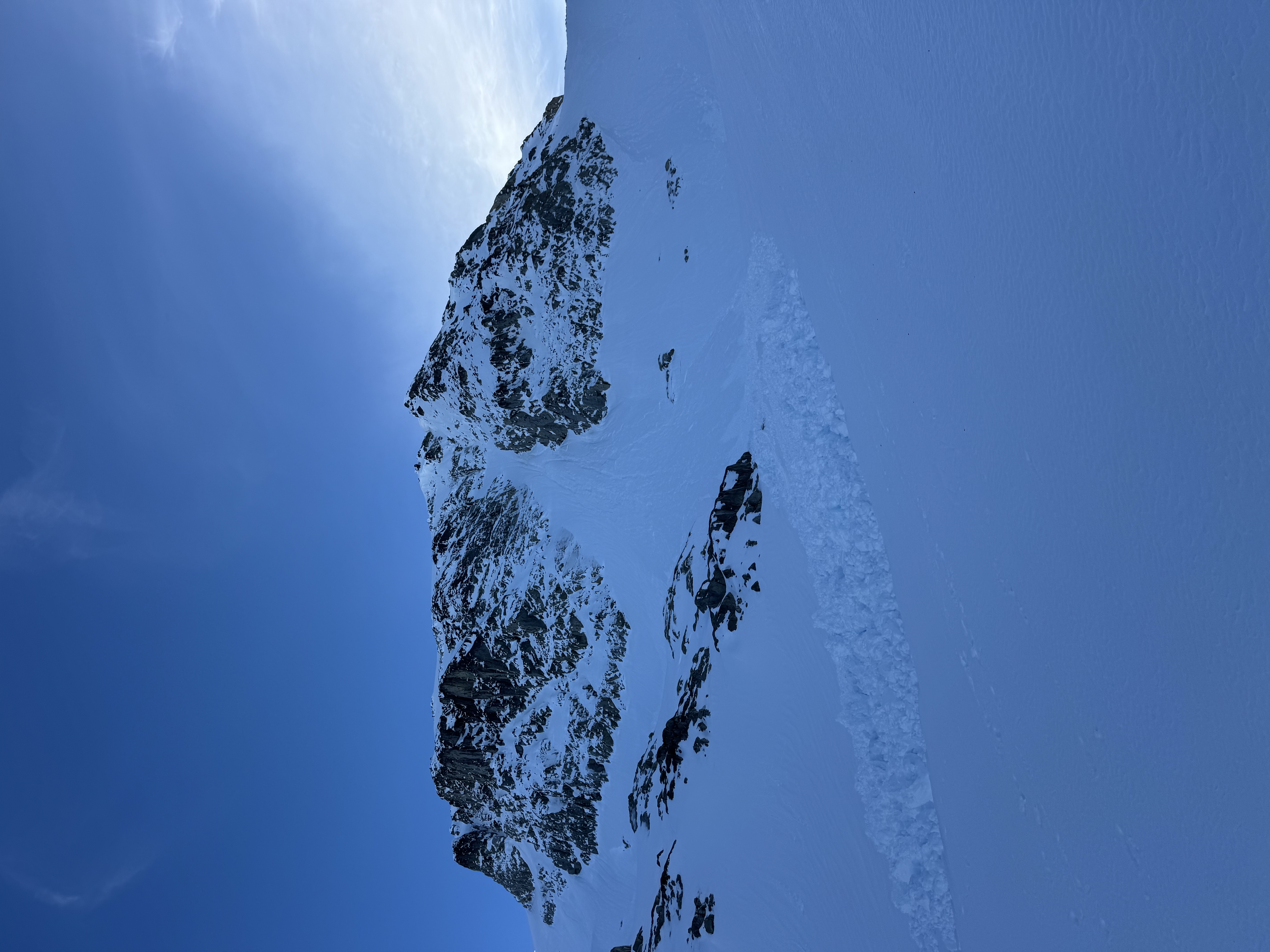 Observation photo
