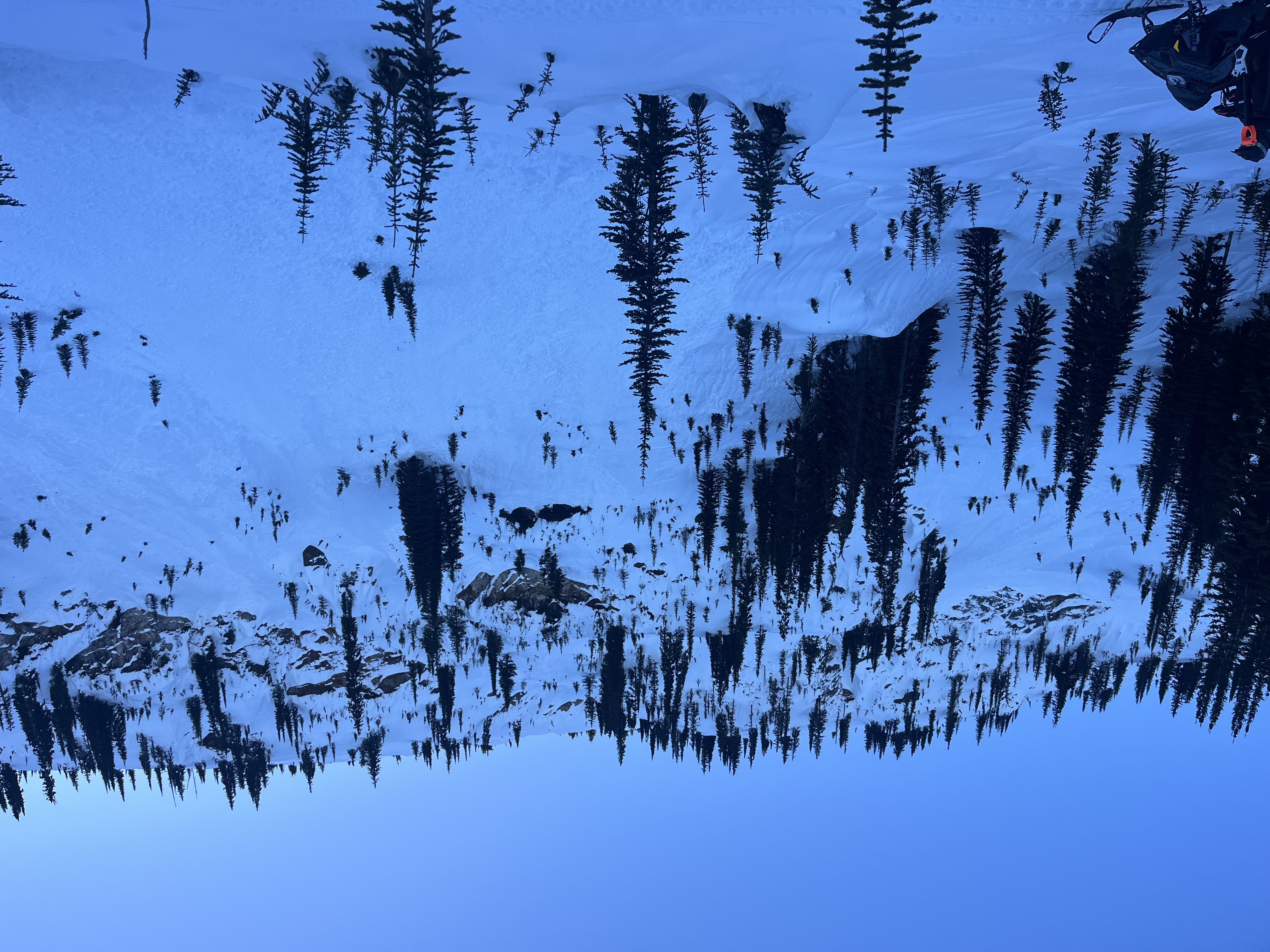 Observation photo