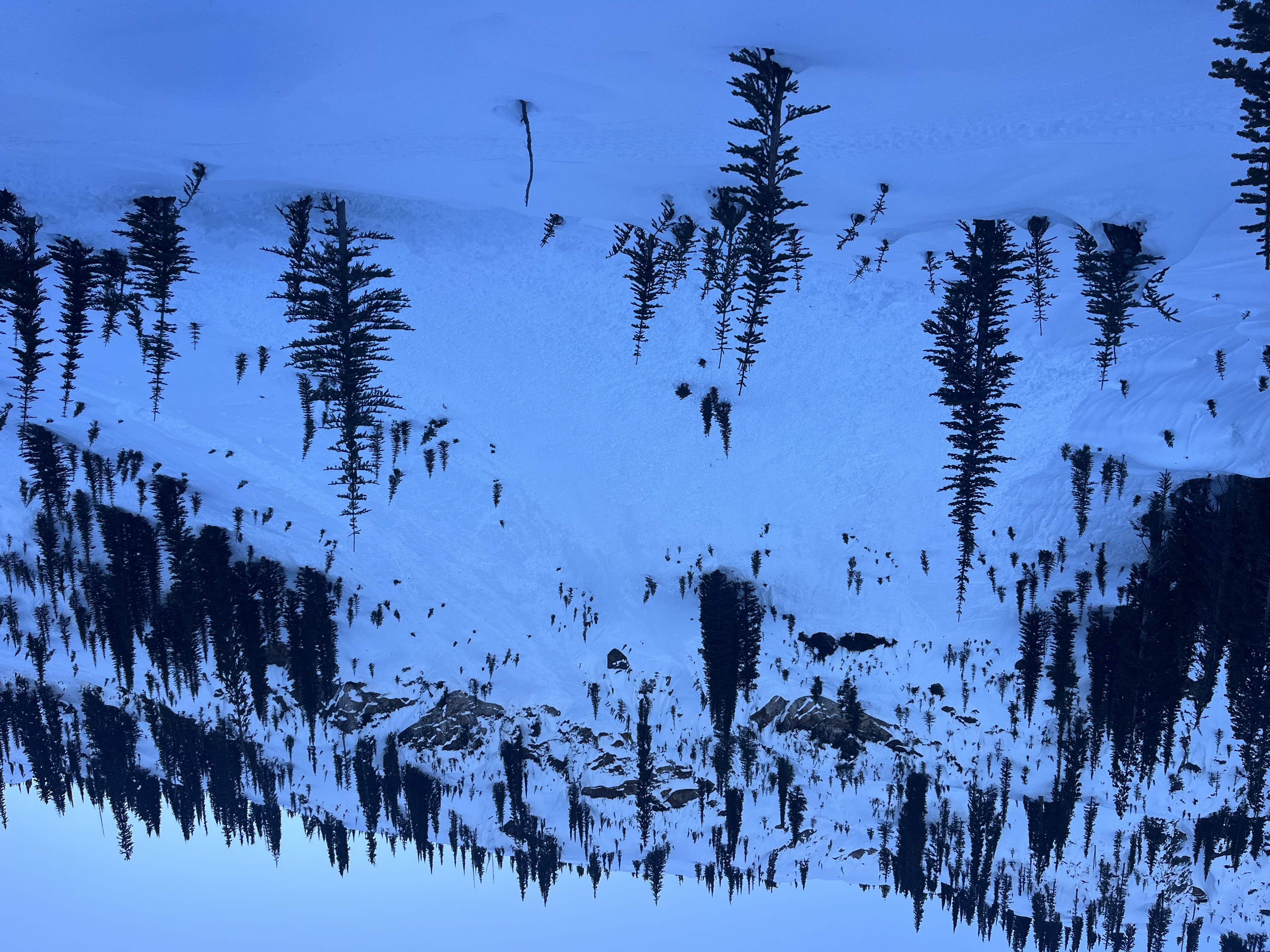 Observation photo