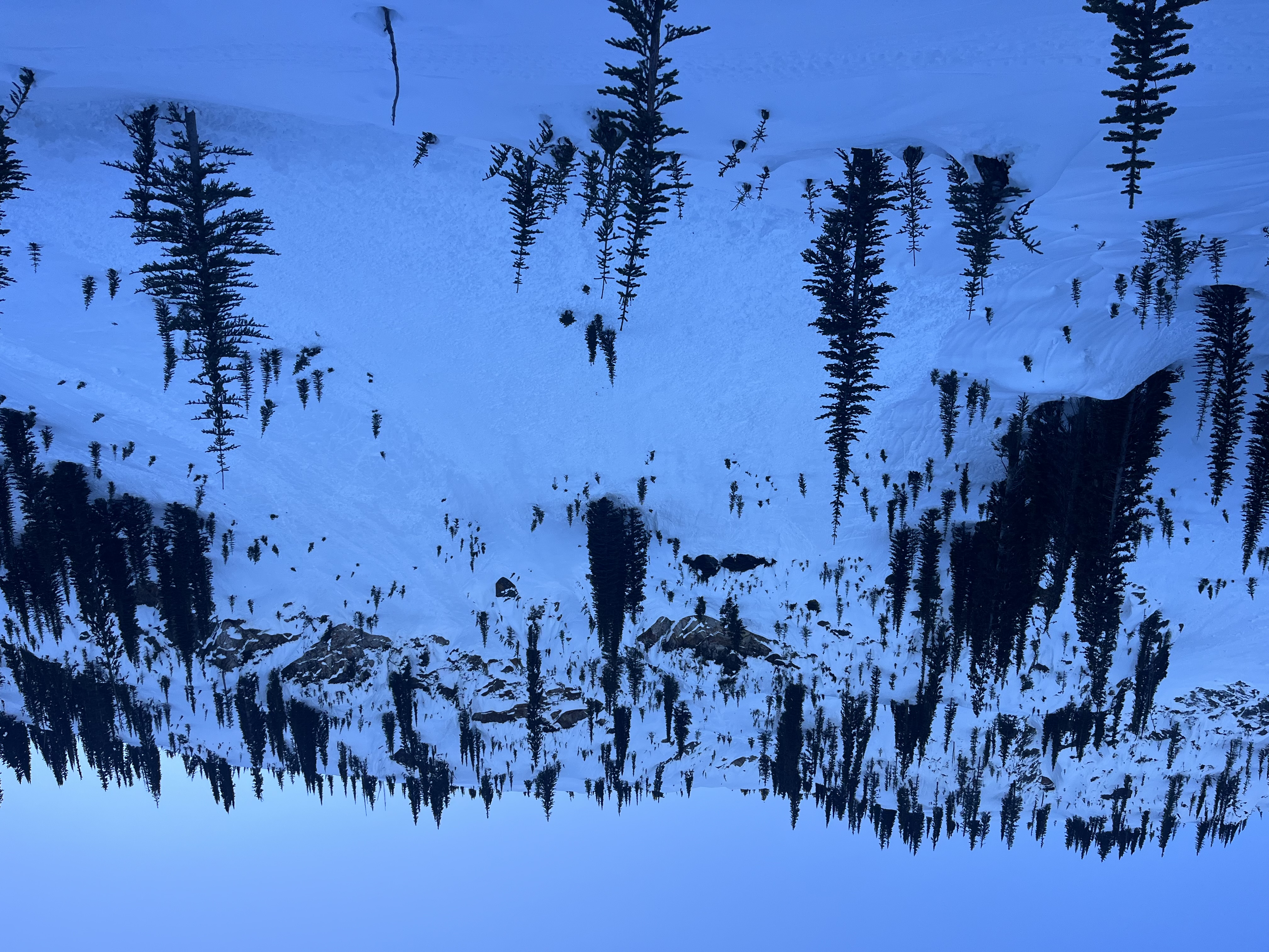 Observation photo