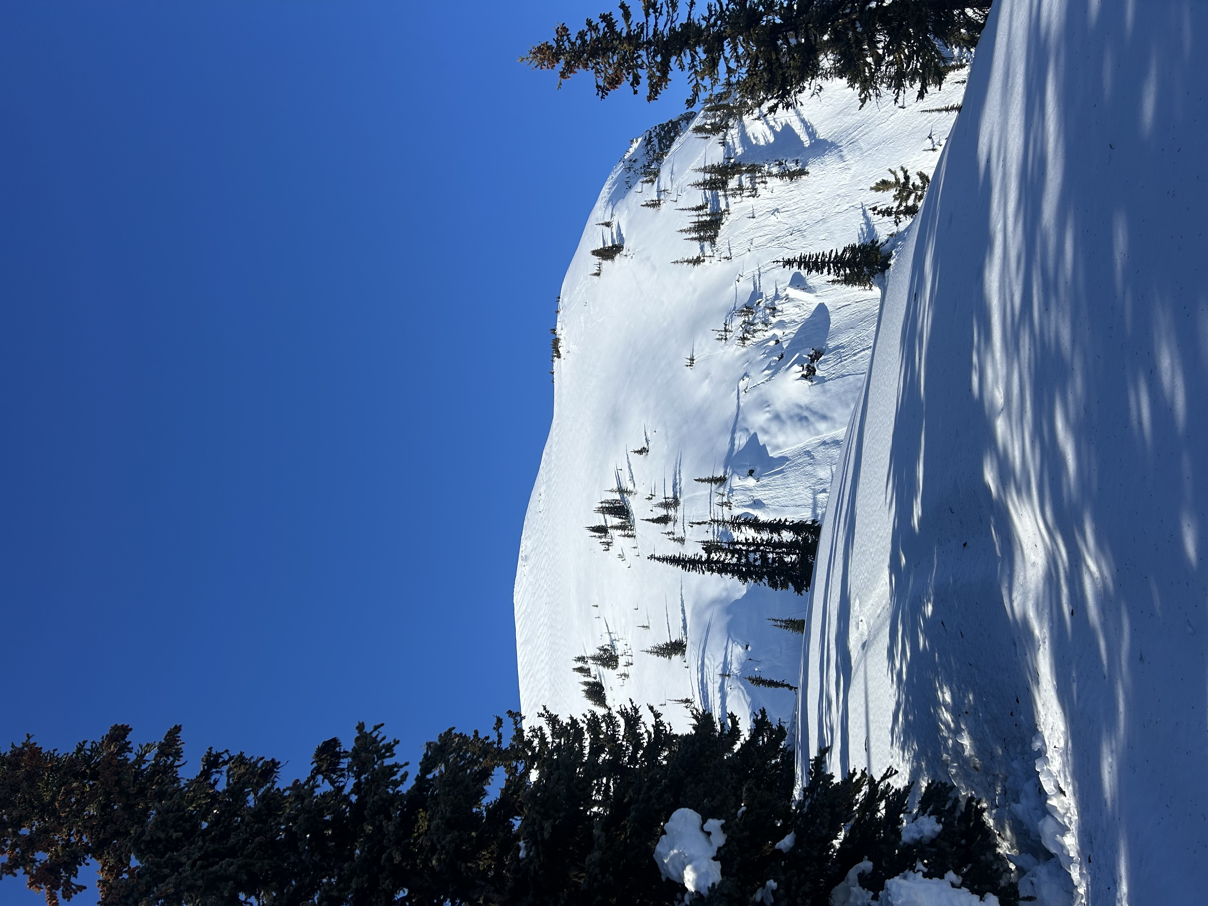 Observation photo