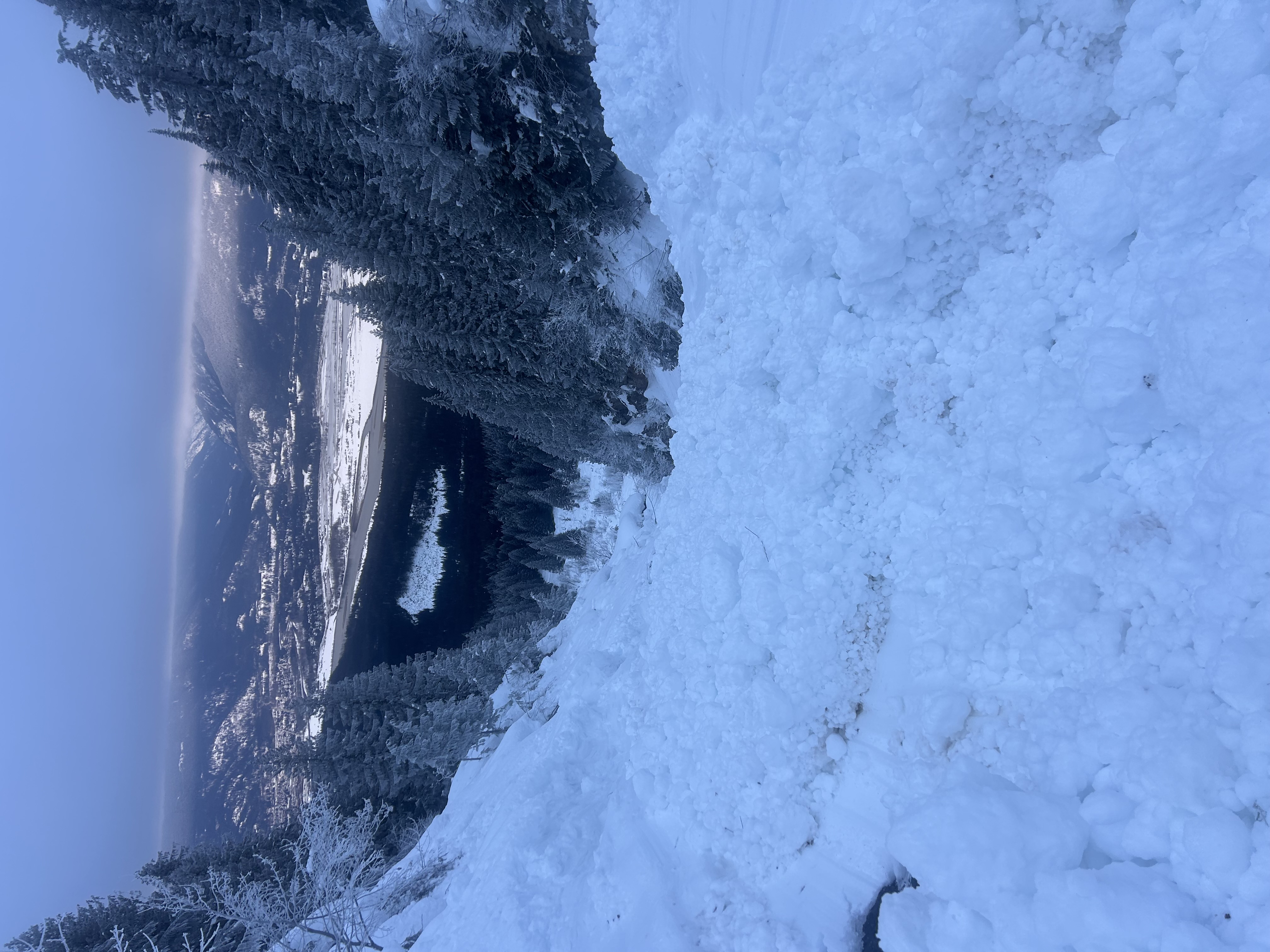 Observation photo