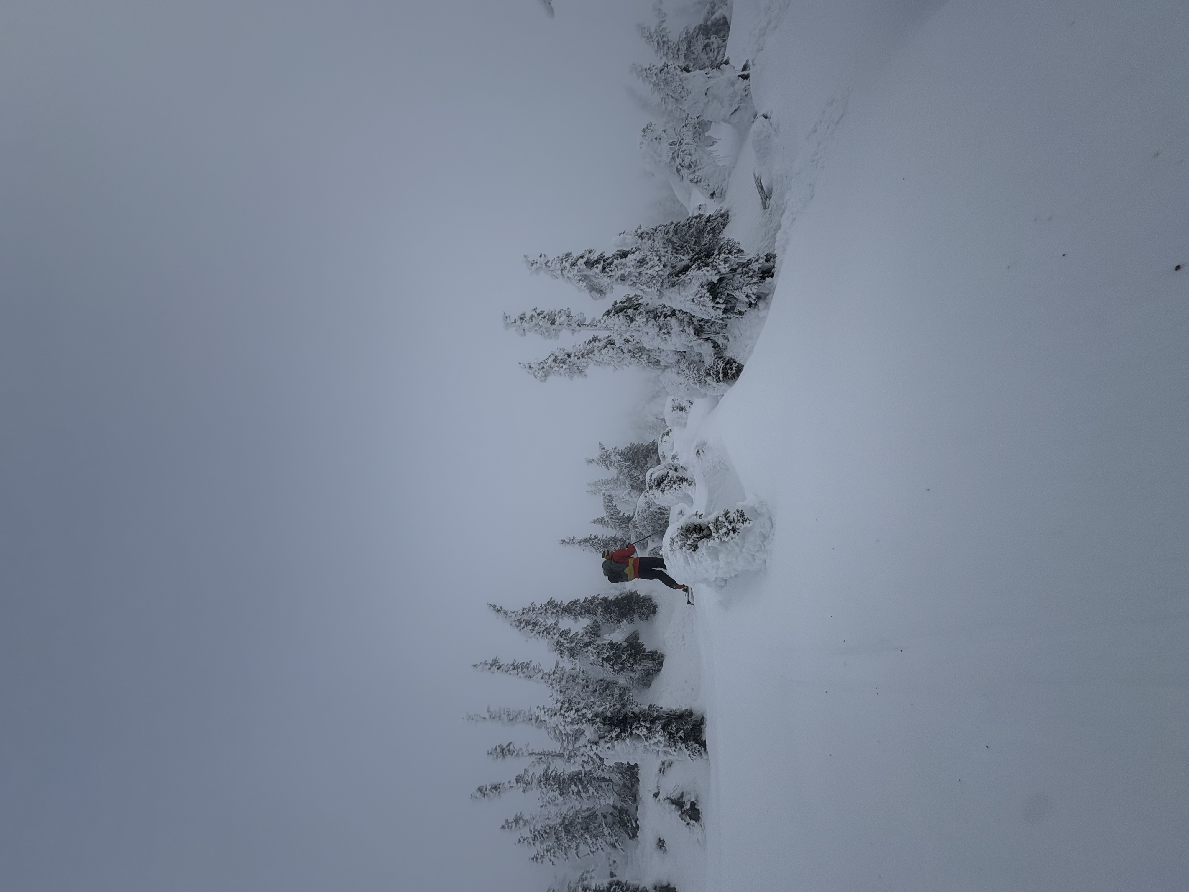 Observation photo