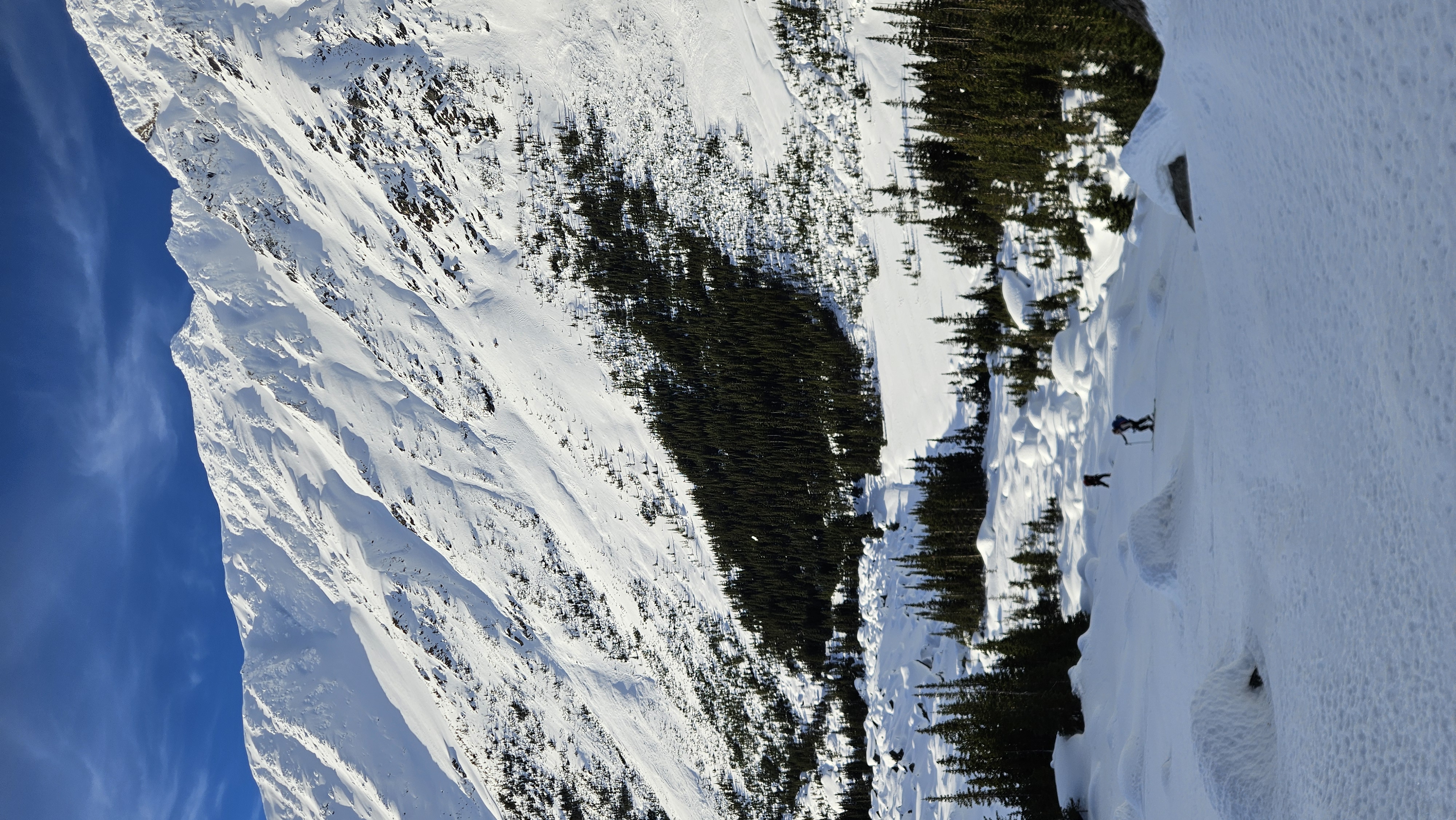 Observation photo