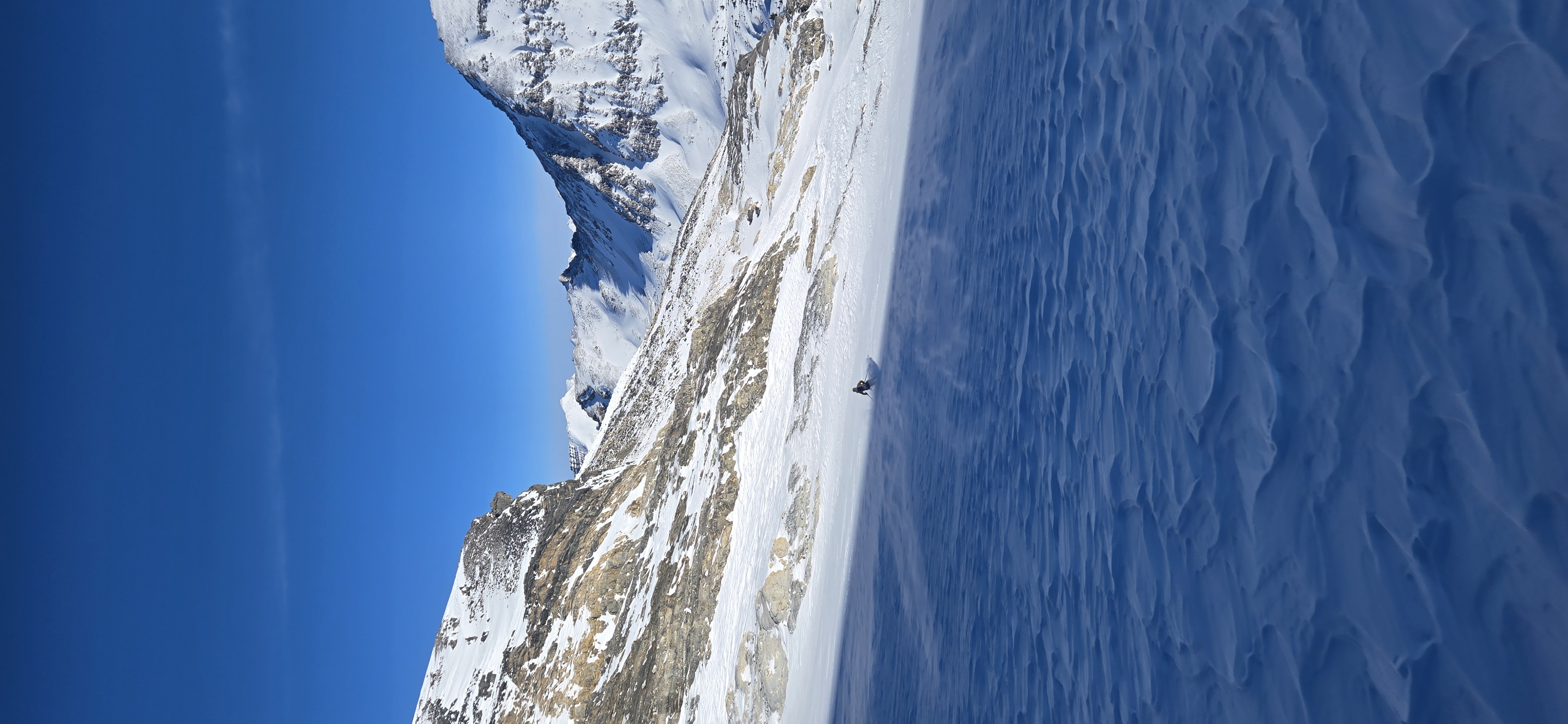 Observation photo