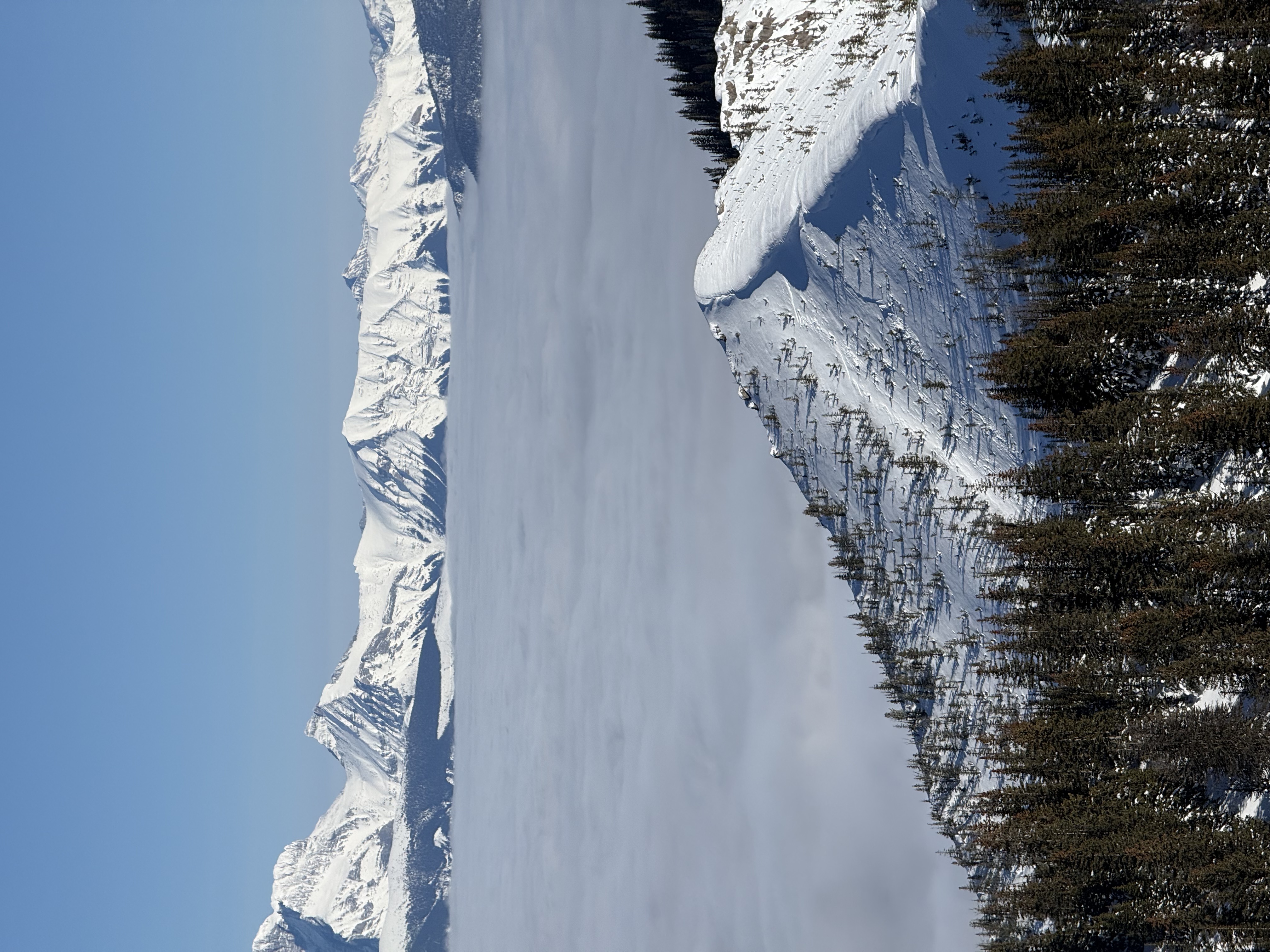 Observation photo