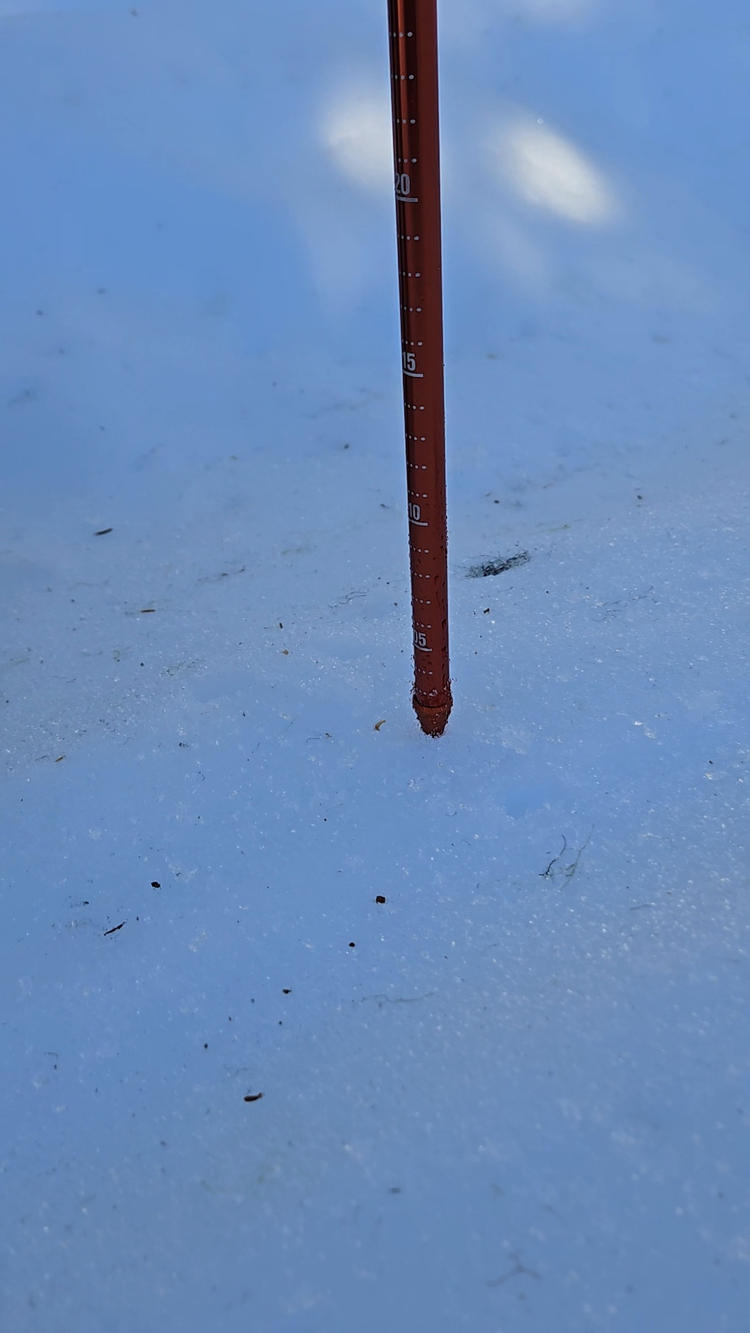 Observation photo