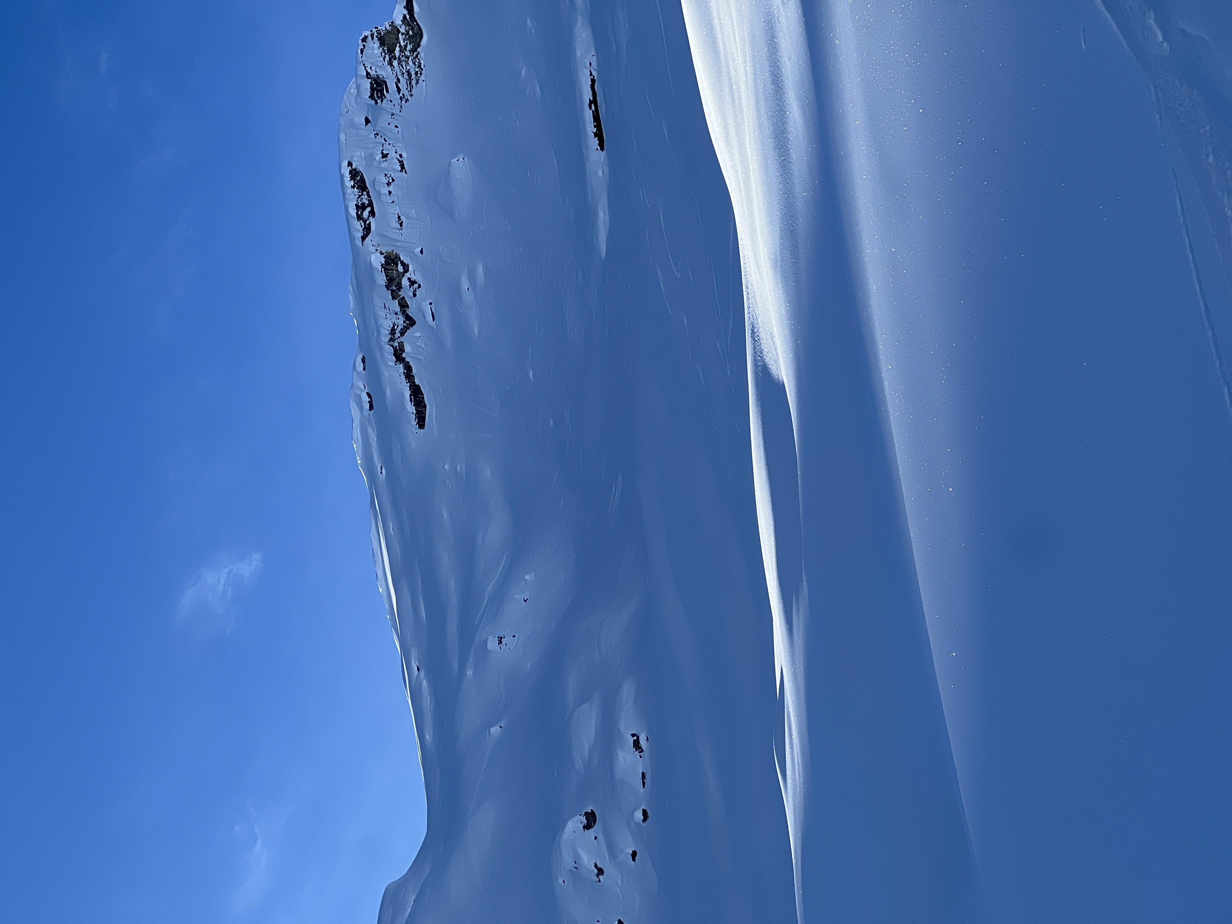 Observation photo