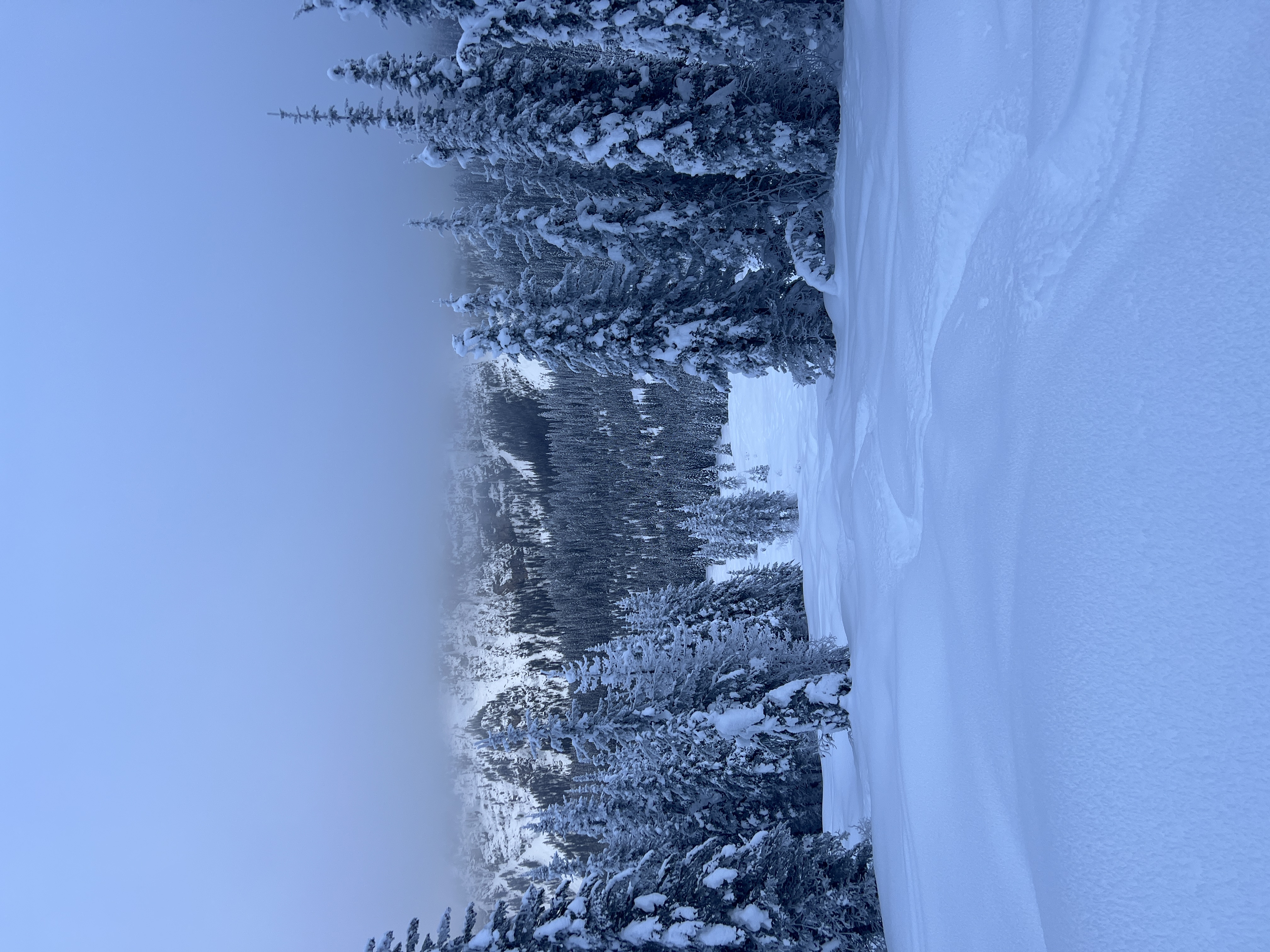 Observation photo