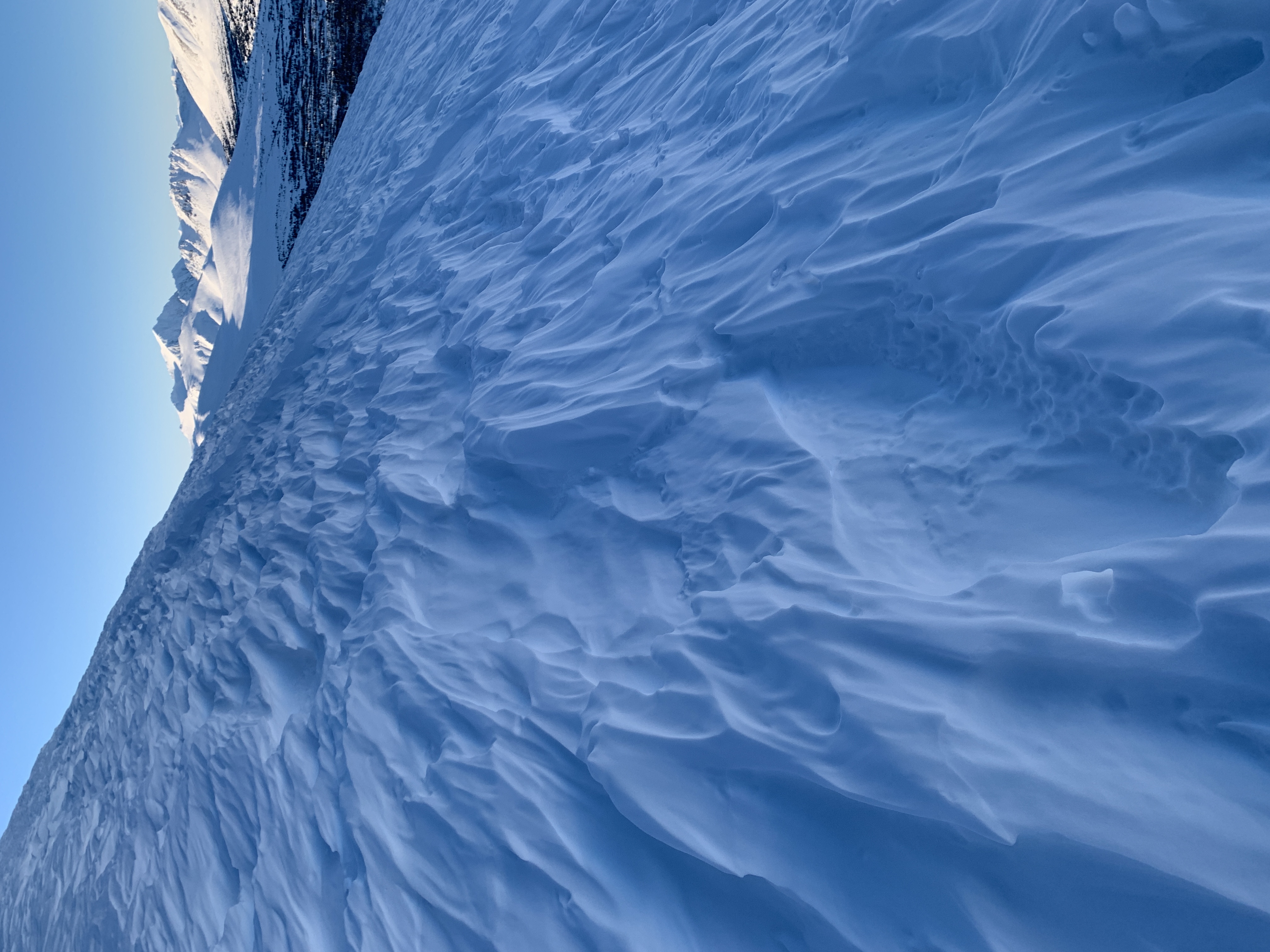 Observation photo