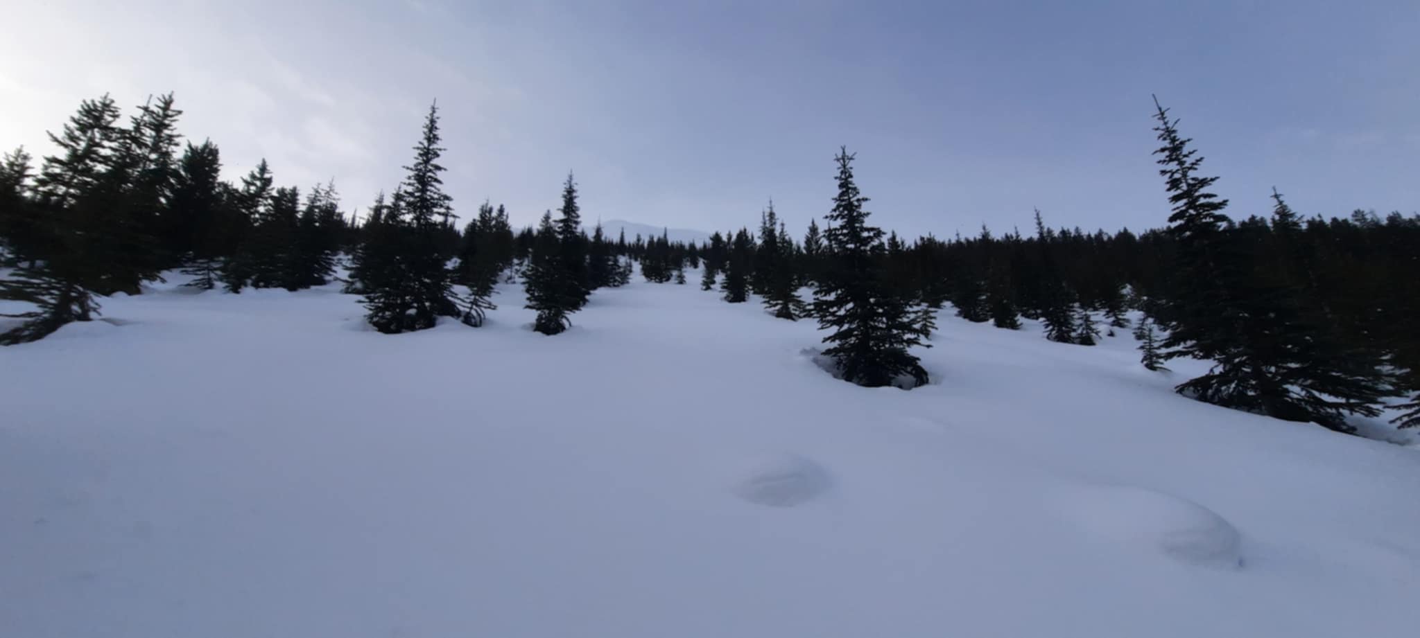 Observation photo
