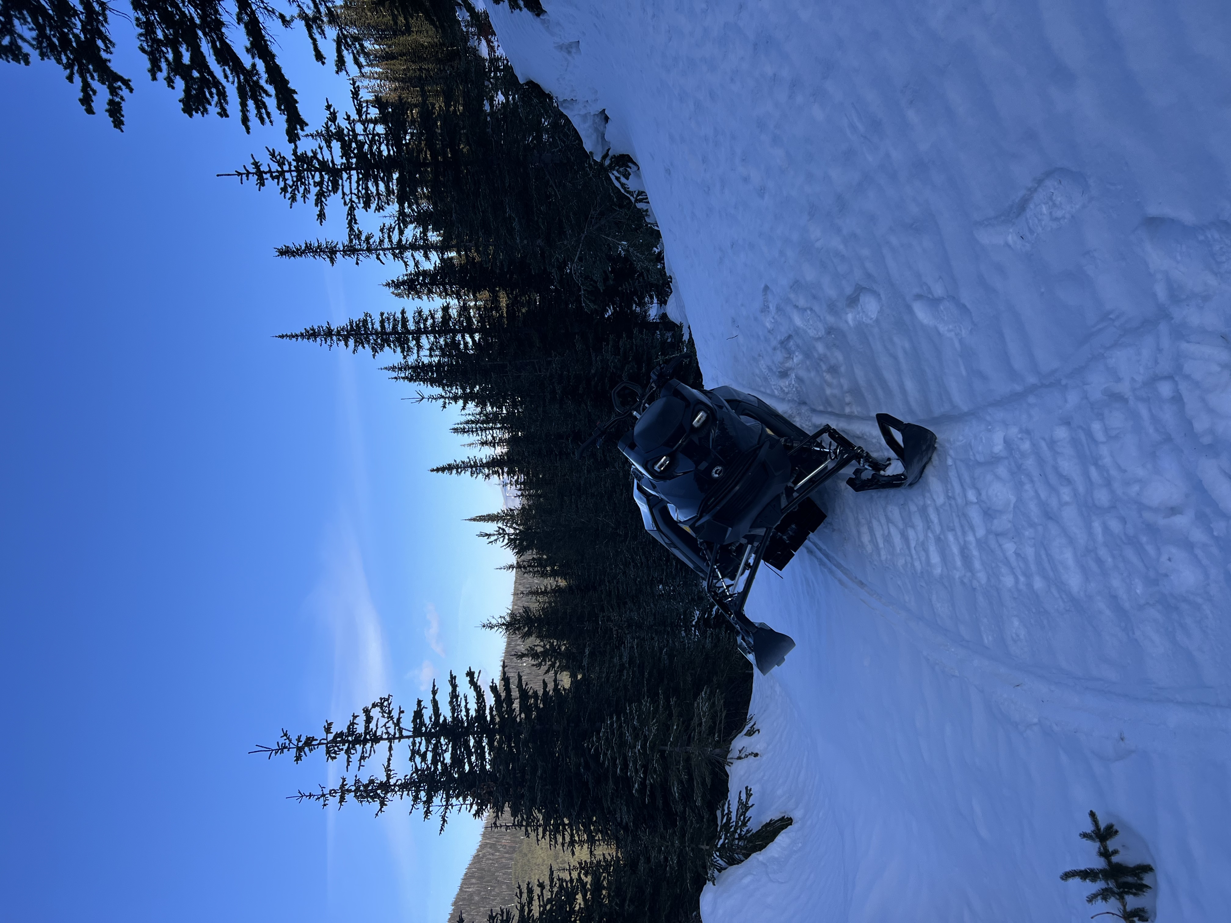 Observation photo