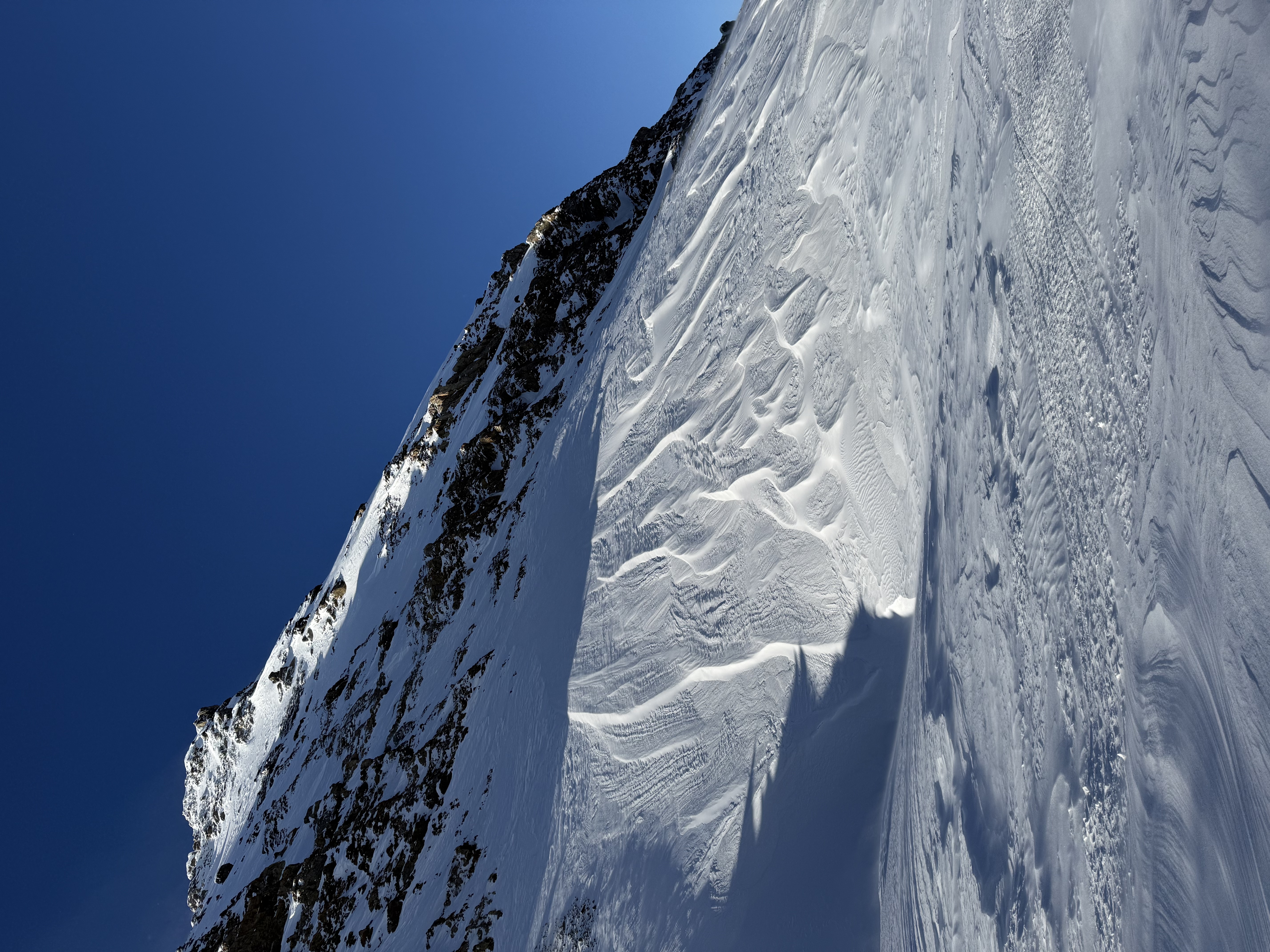 Observation photo