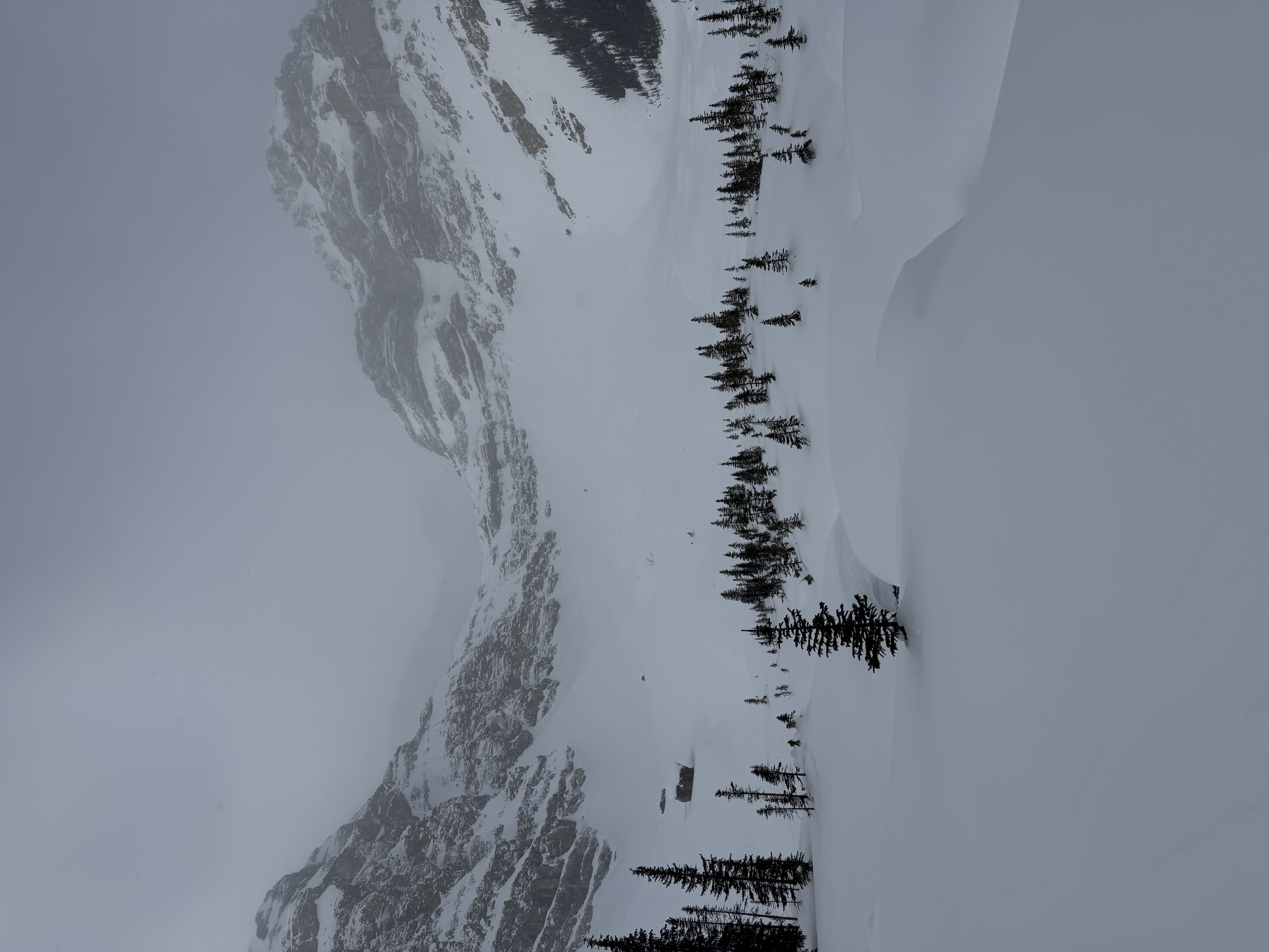 Observation photo