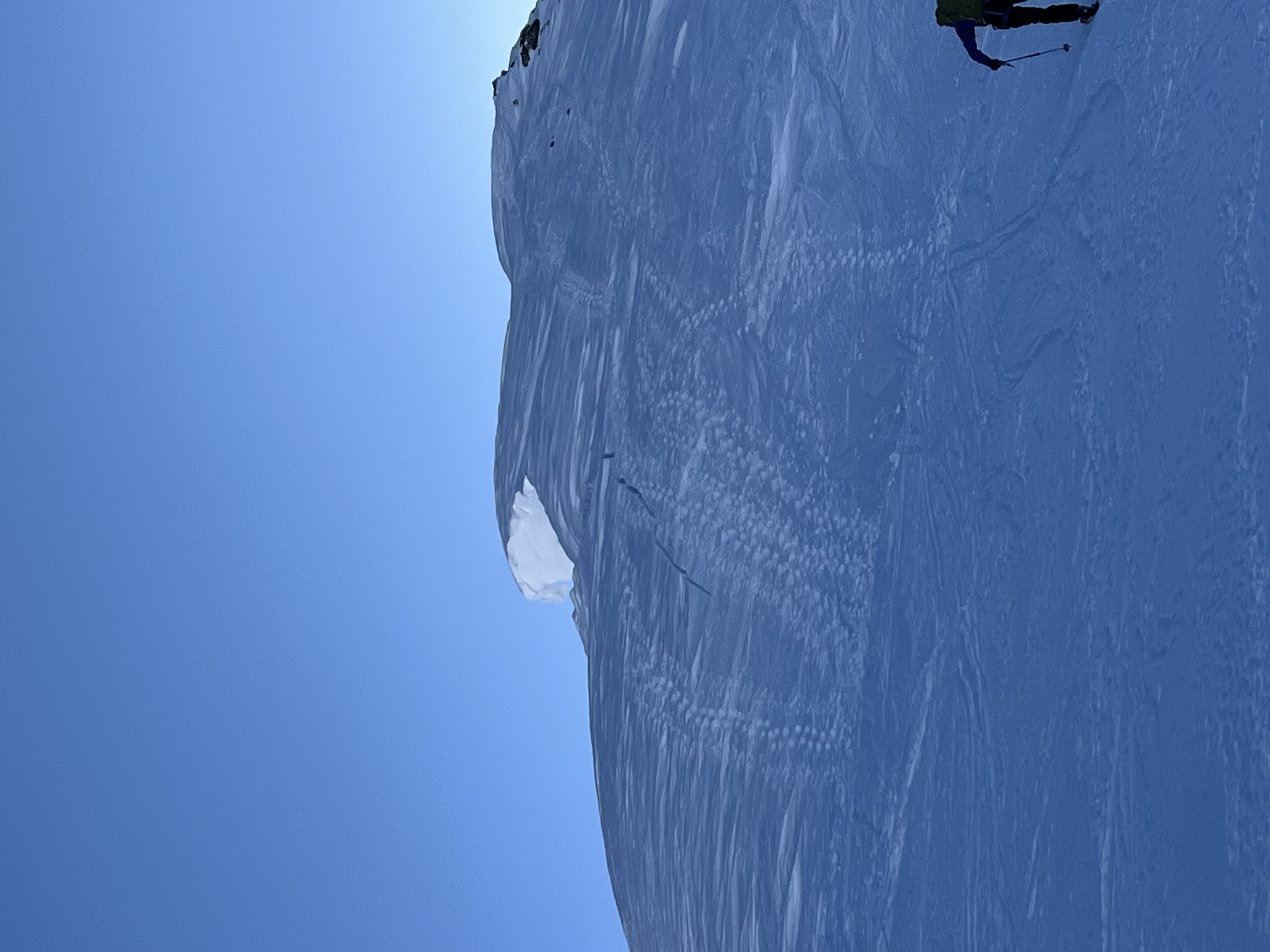 Observation photo