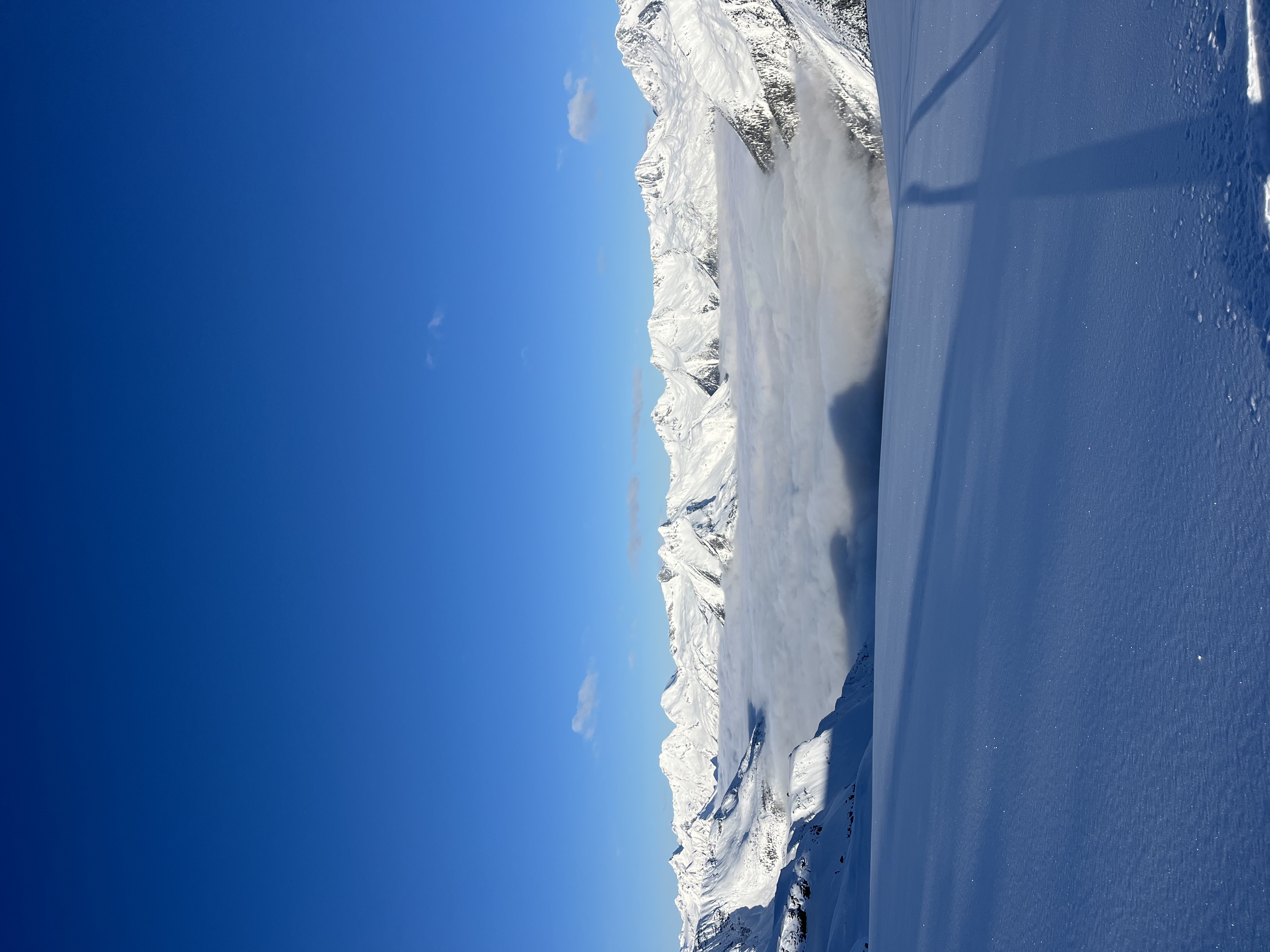 Observation photo