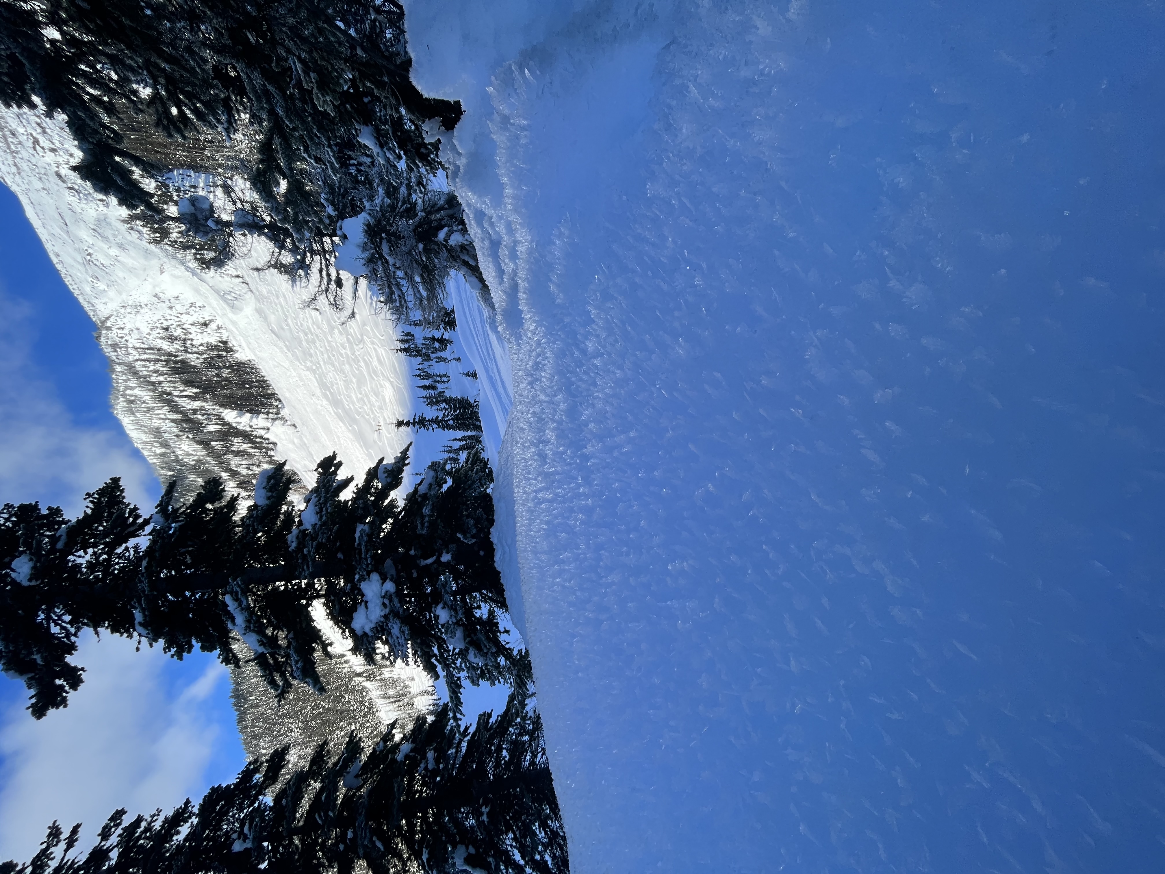 Observation photo