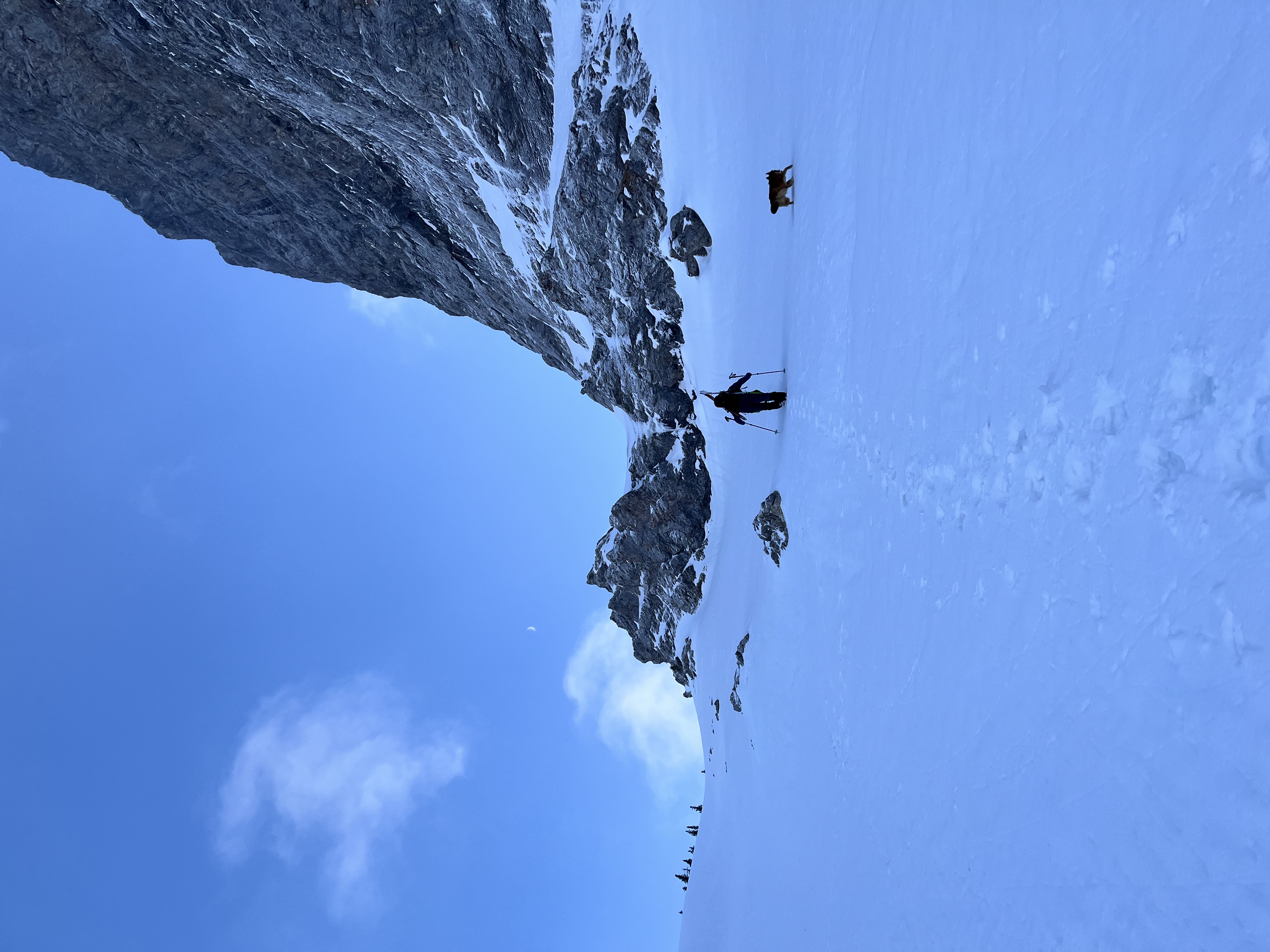 Observation photo